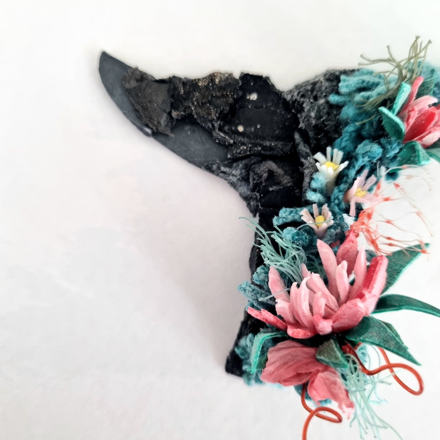 Whale tail botanical