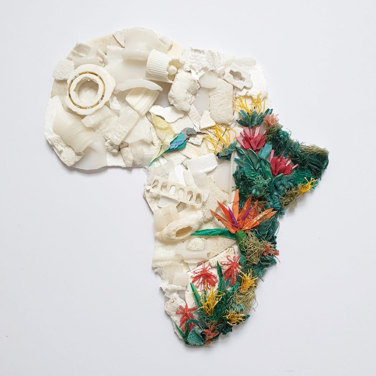 Botanical Africa - Janet Ormond Art