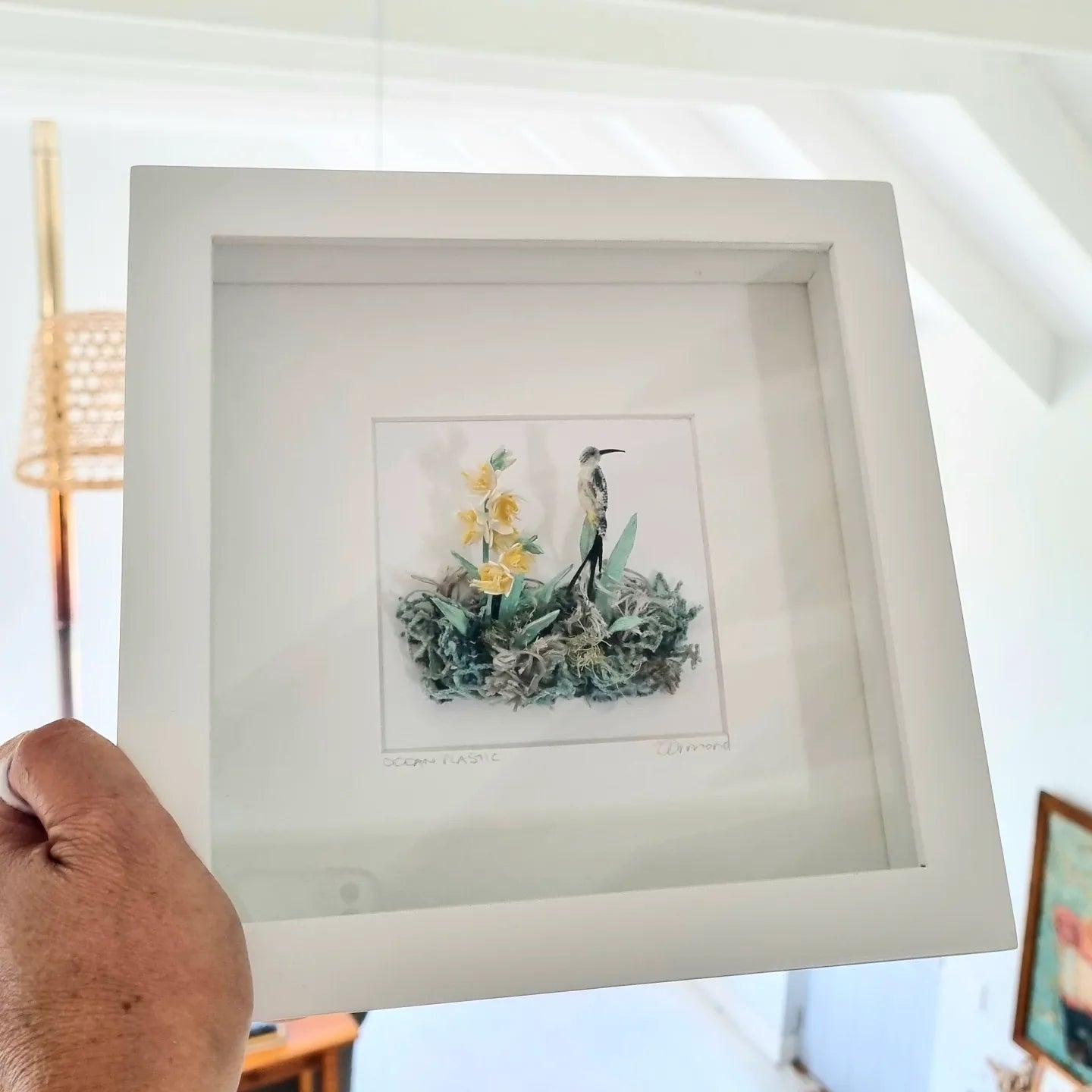 Cape sugarbird - Janet Ormond Art