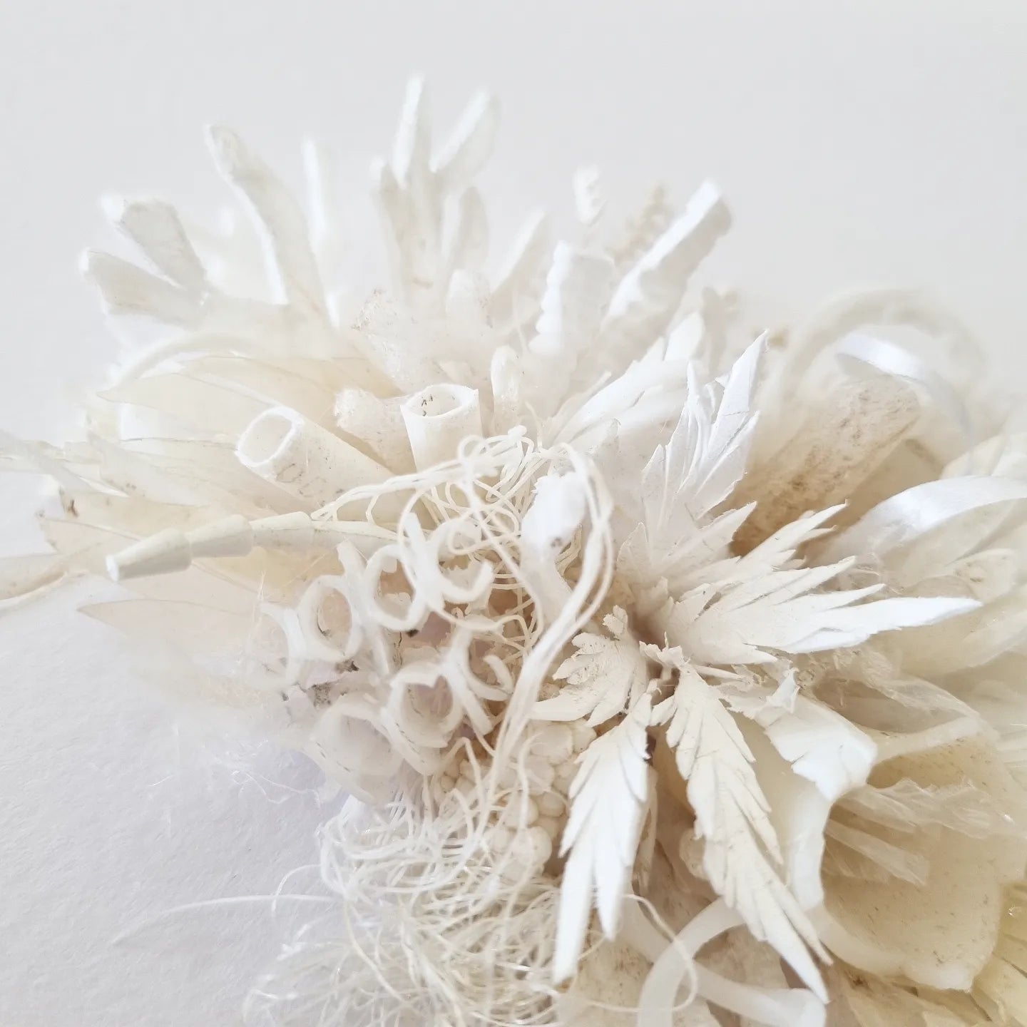 Coral Dreams #1 - Janet Ormond Art