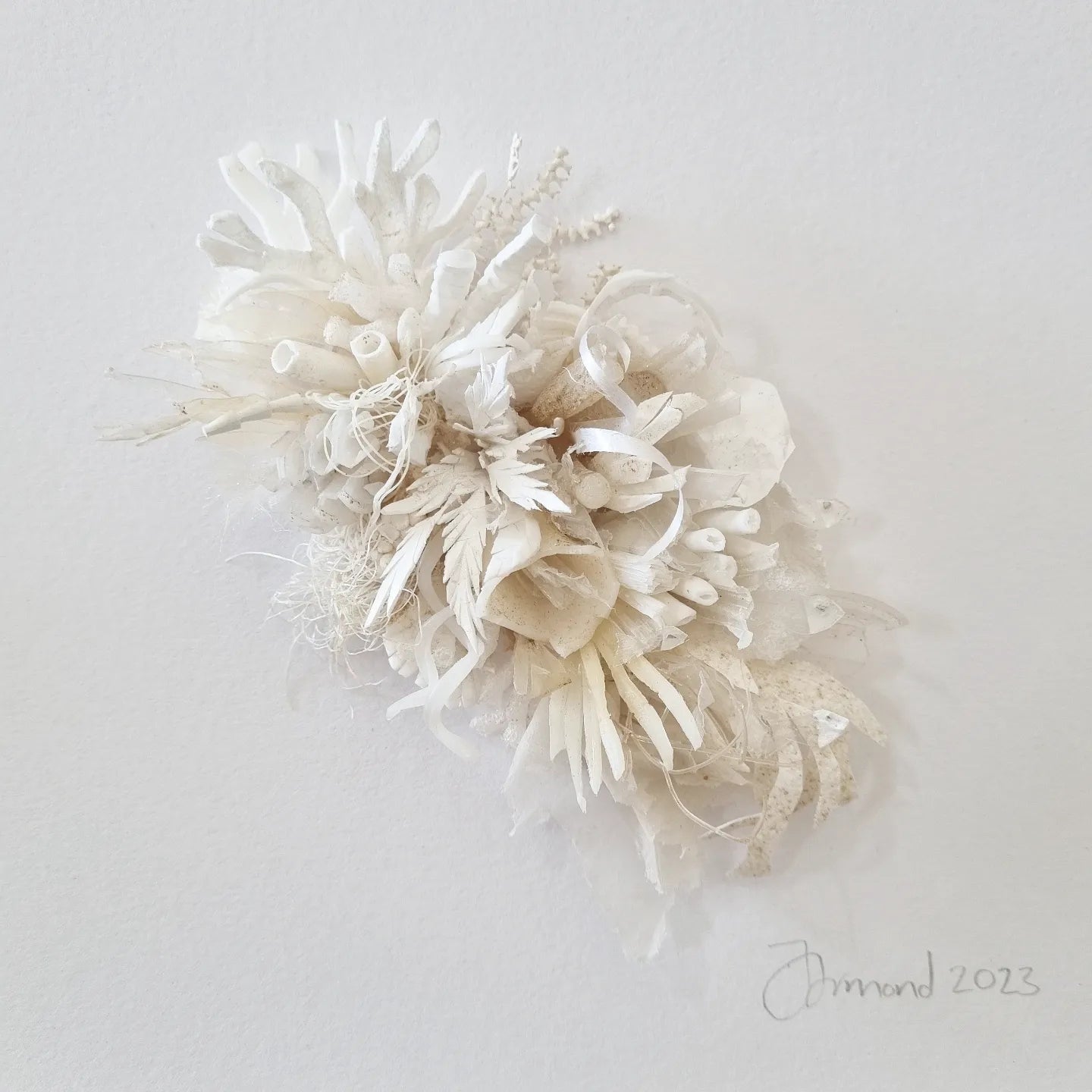 Coral Dreams #1 - Janet Ormond Art
