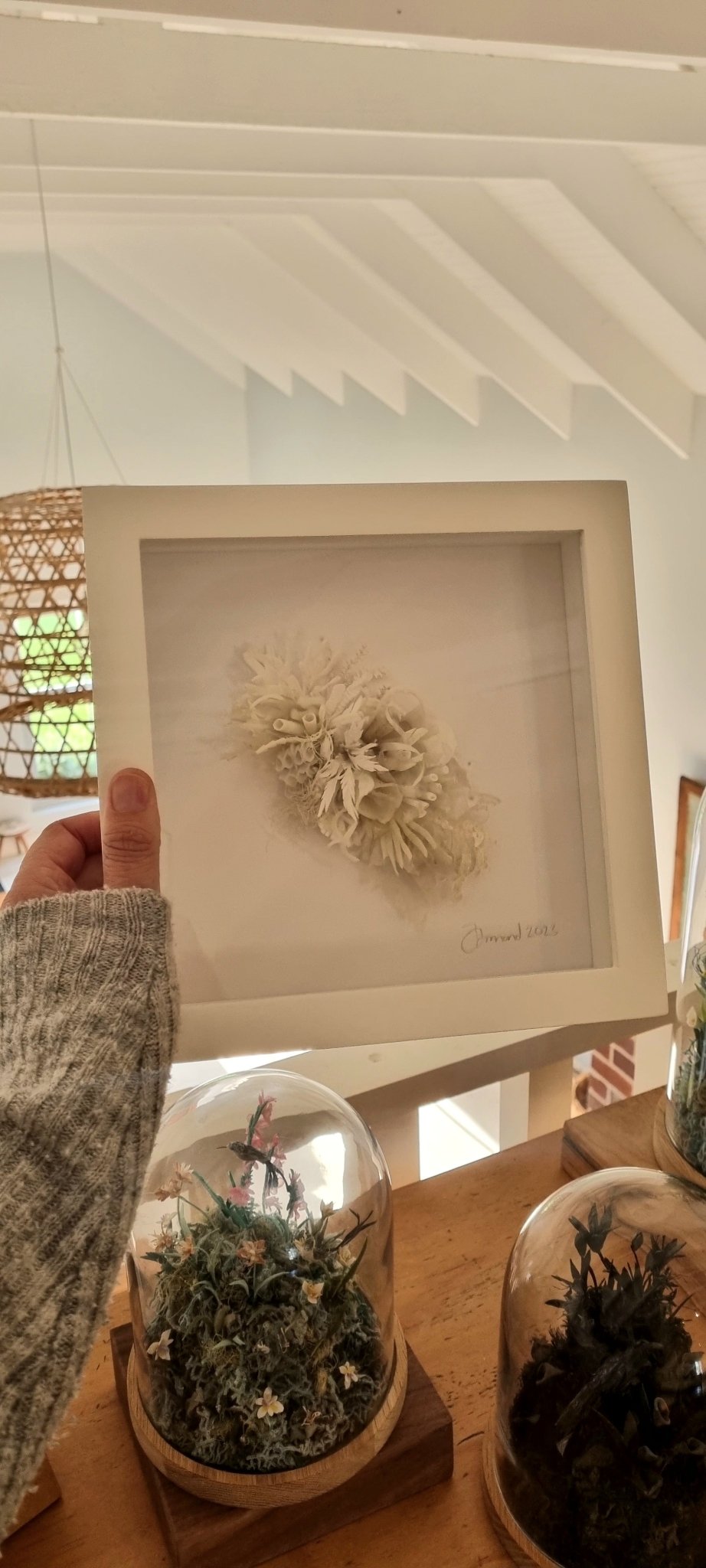 Coral Dreams #1 - Janet Ormond Art