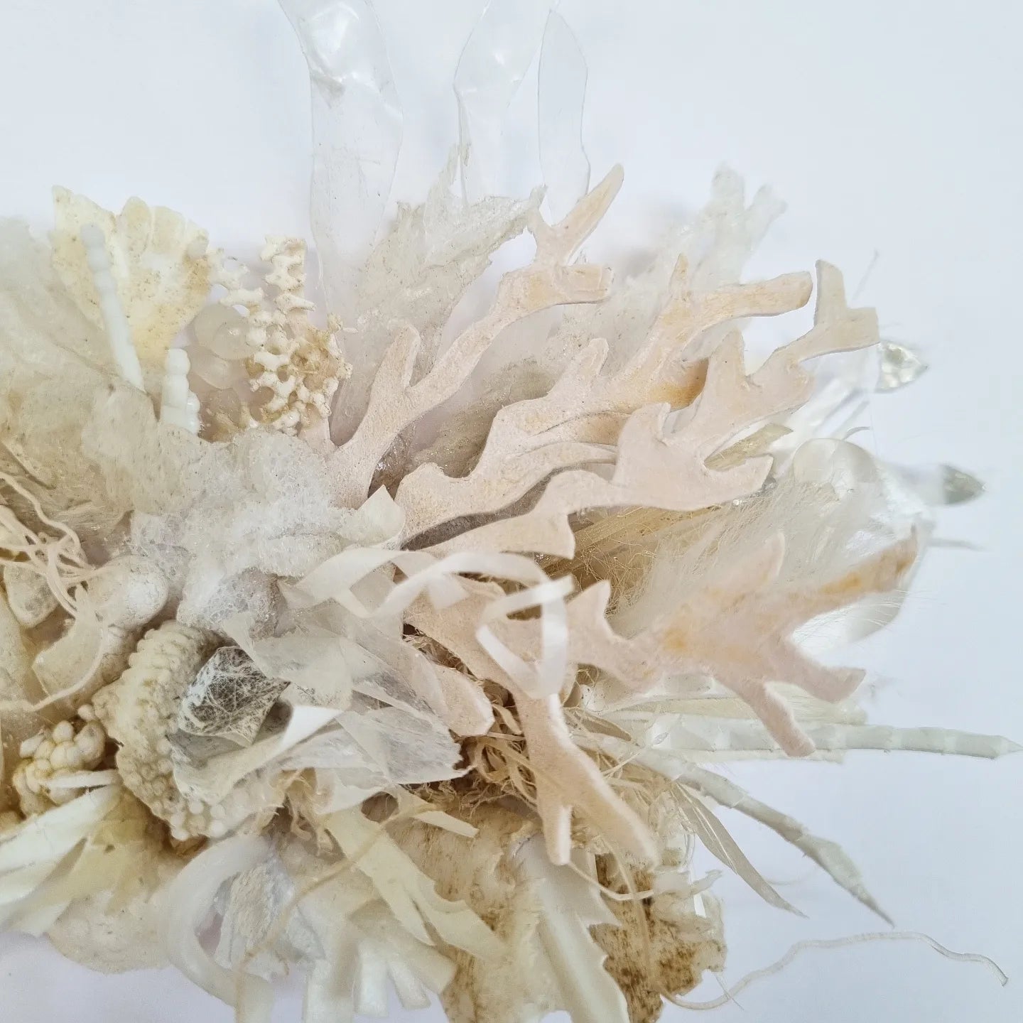 Coral Dreams #2 - Janet Ormond Art