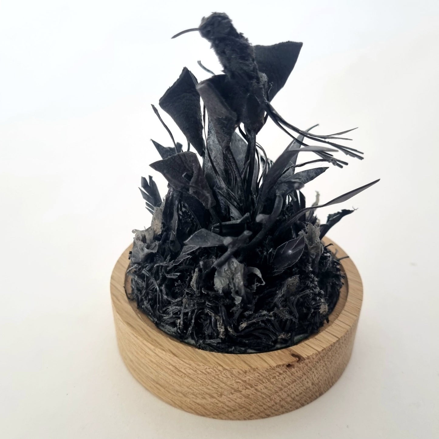 Dark Delight (Available from The Ink Box Gallery Kalk Bay) - Janet Ormond Art