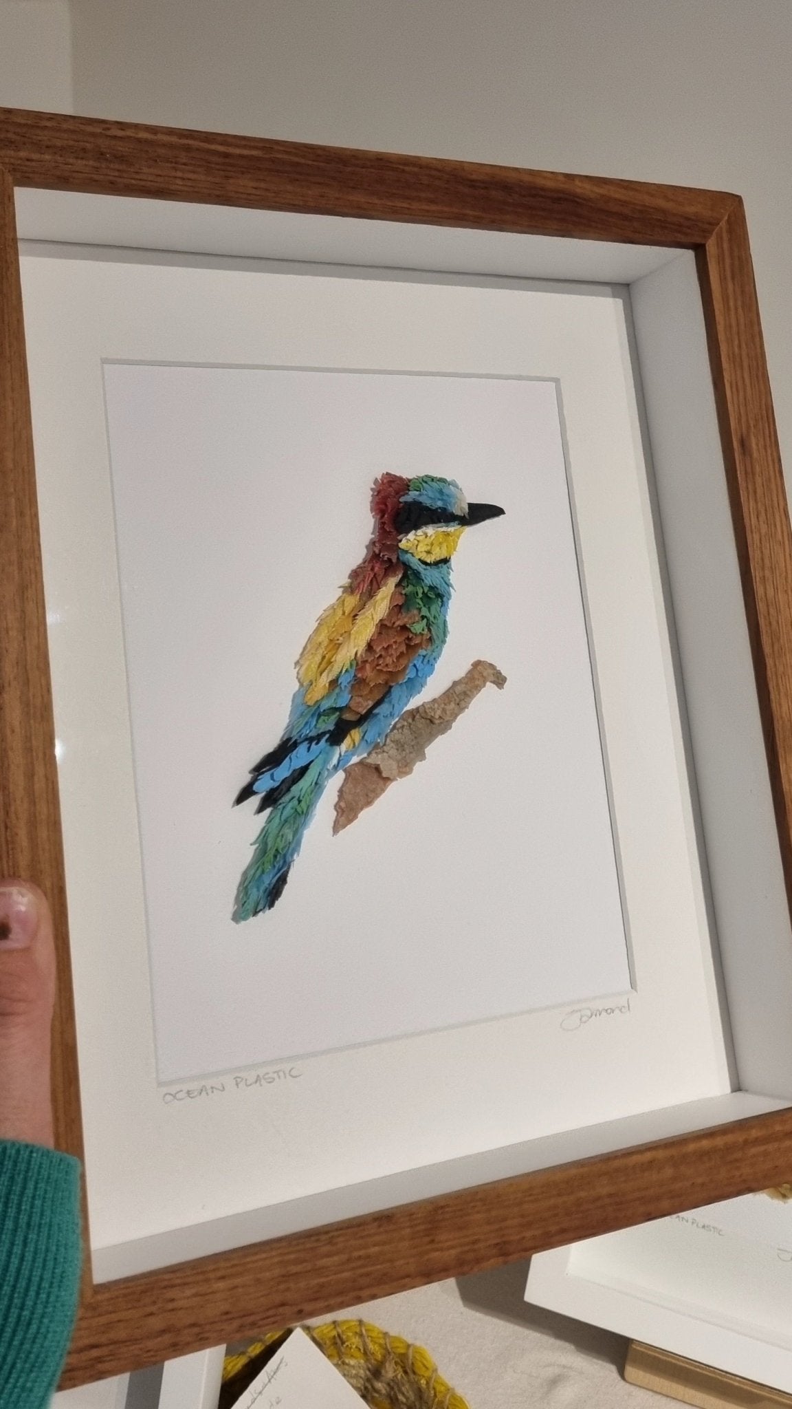 European Bee - Eater - Janet Ormond Art