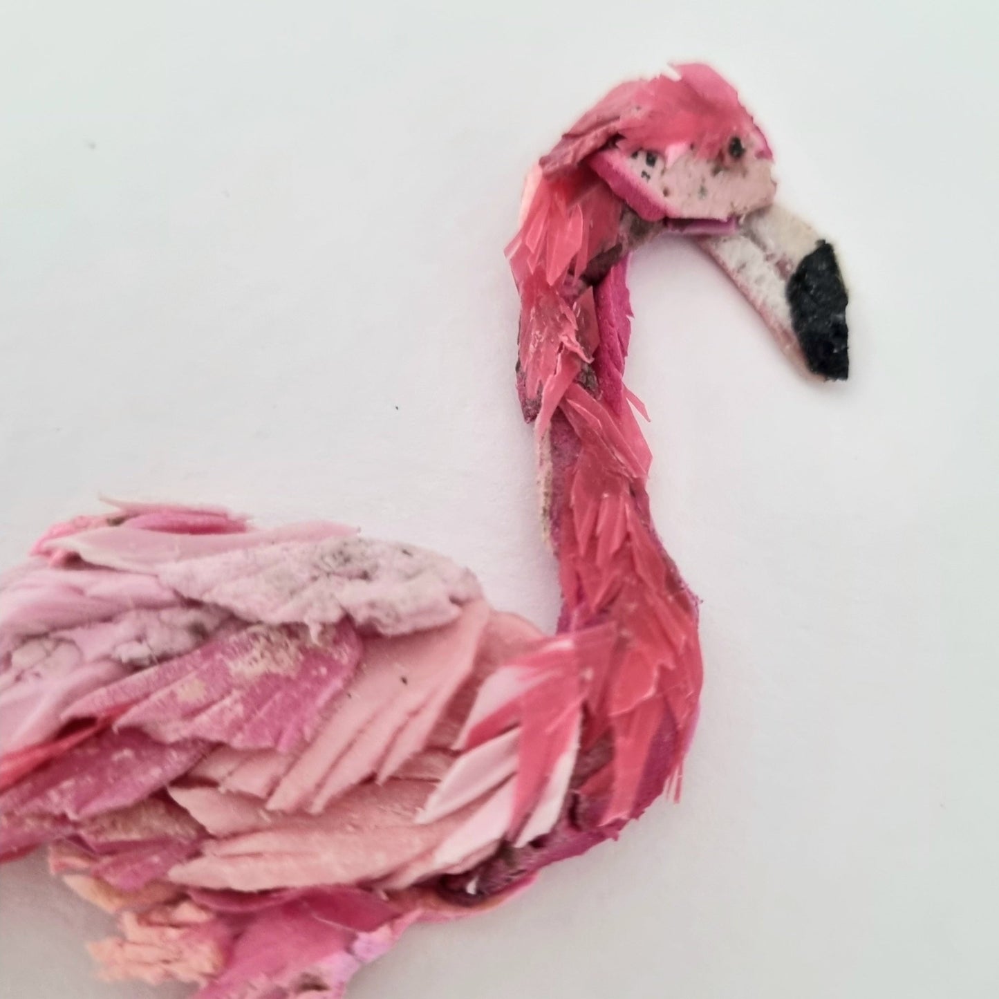 Flamingo - Janet Ormond Art