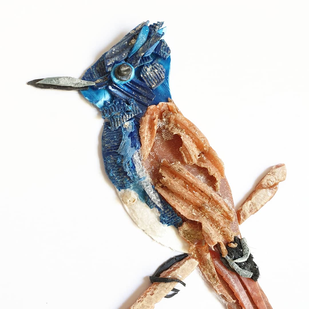 Flycatcher - Janet Ormond Art