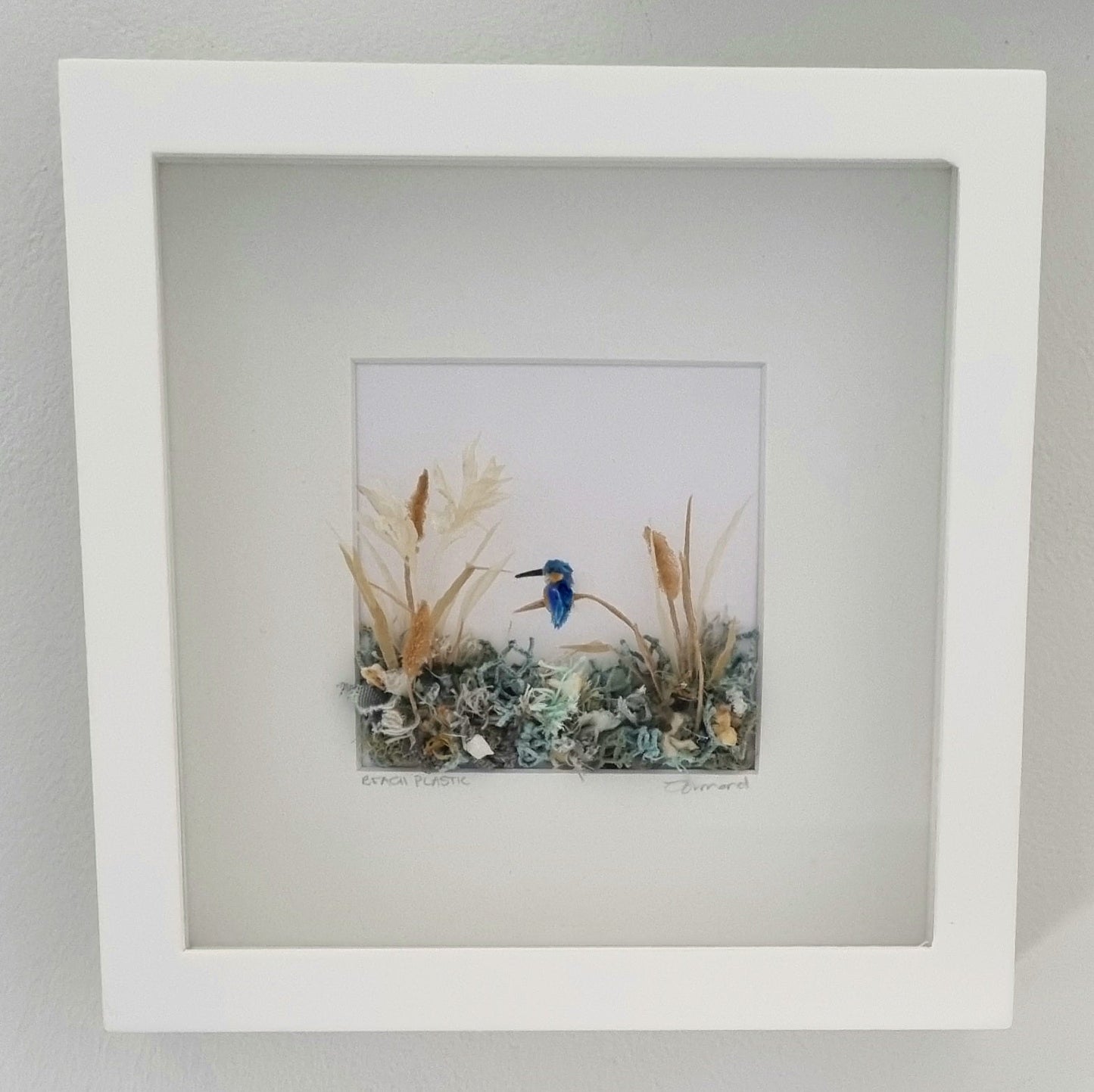 Kingfisher between the reeds - Janet Ormond Art