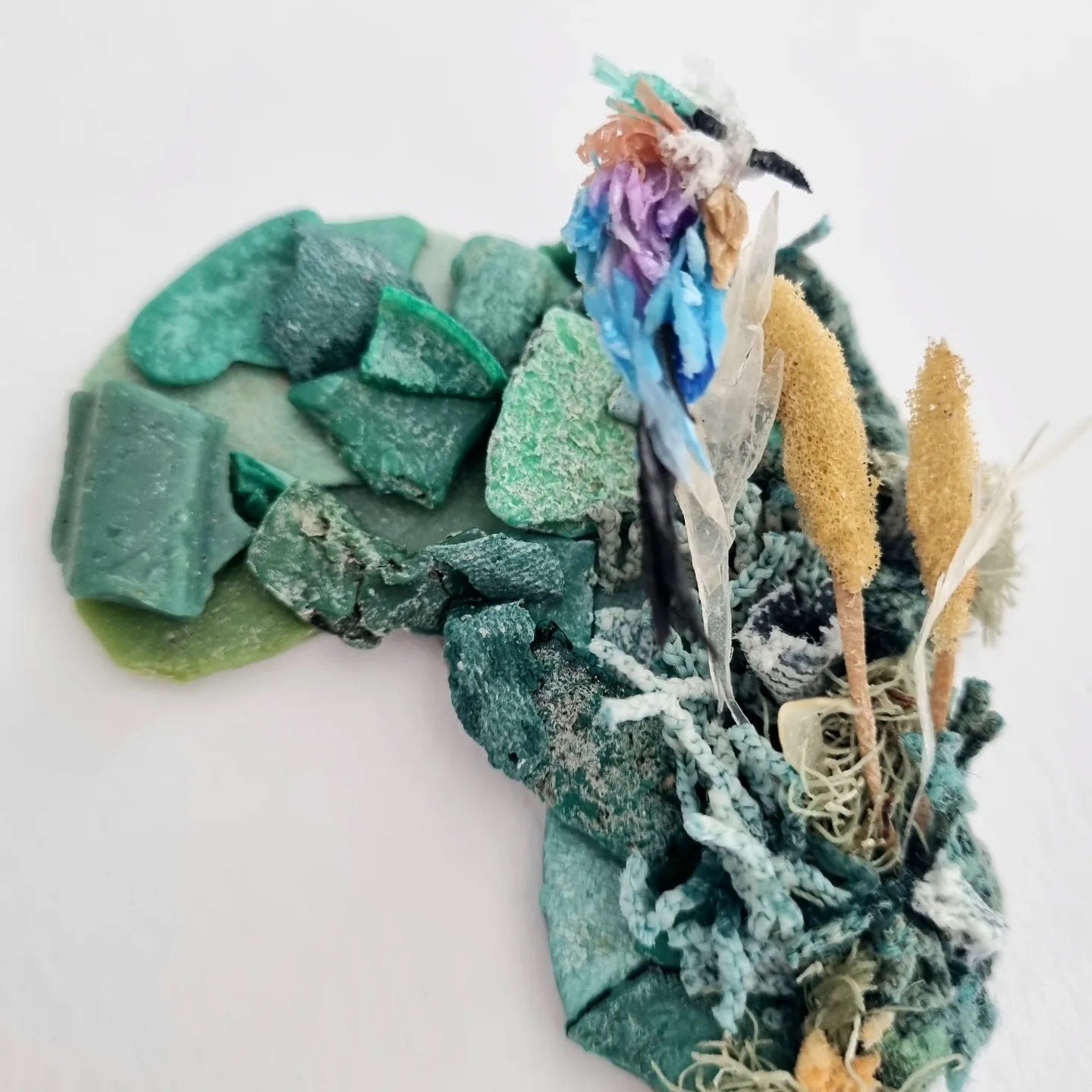 Lilac breasted roller in Africa - Janet Ormond Art