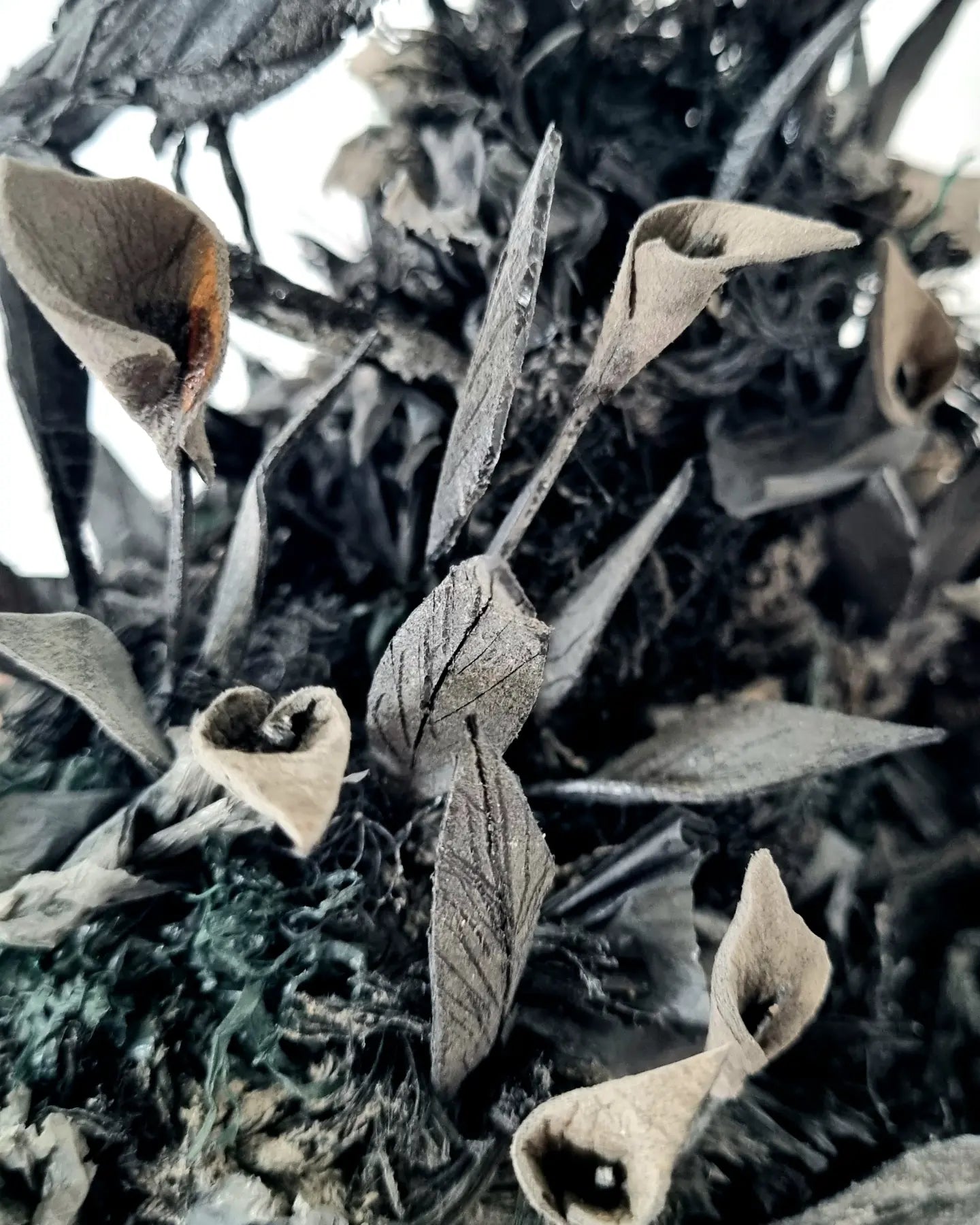 Lilies of Dystopia - Janet Ormond Art