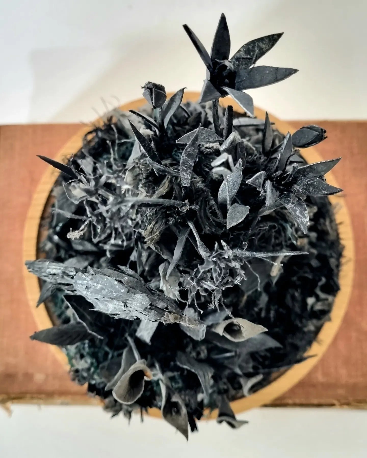 Lilies of Dystopia - Janet Ormond Art