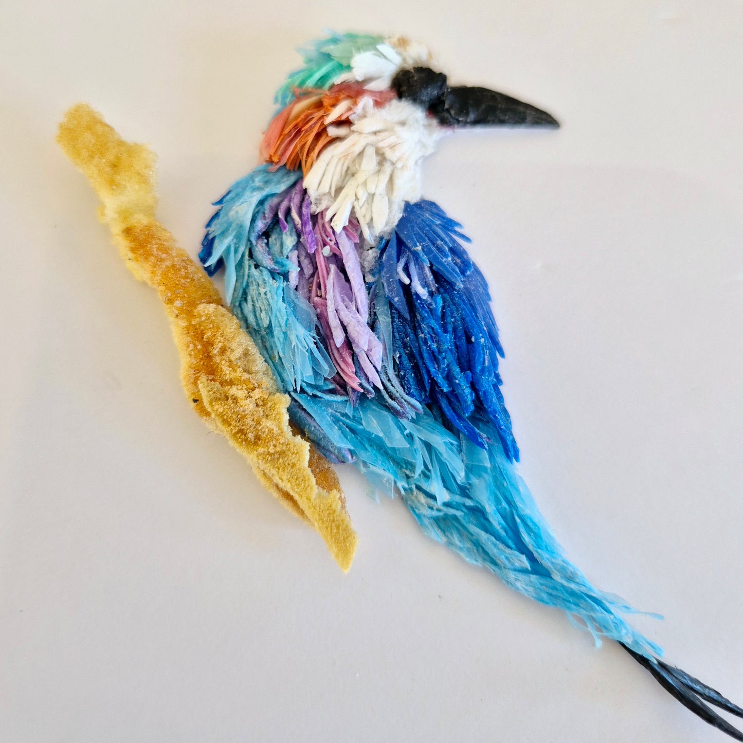 Lilac Breasted Roller - Framed Wall Art