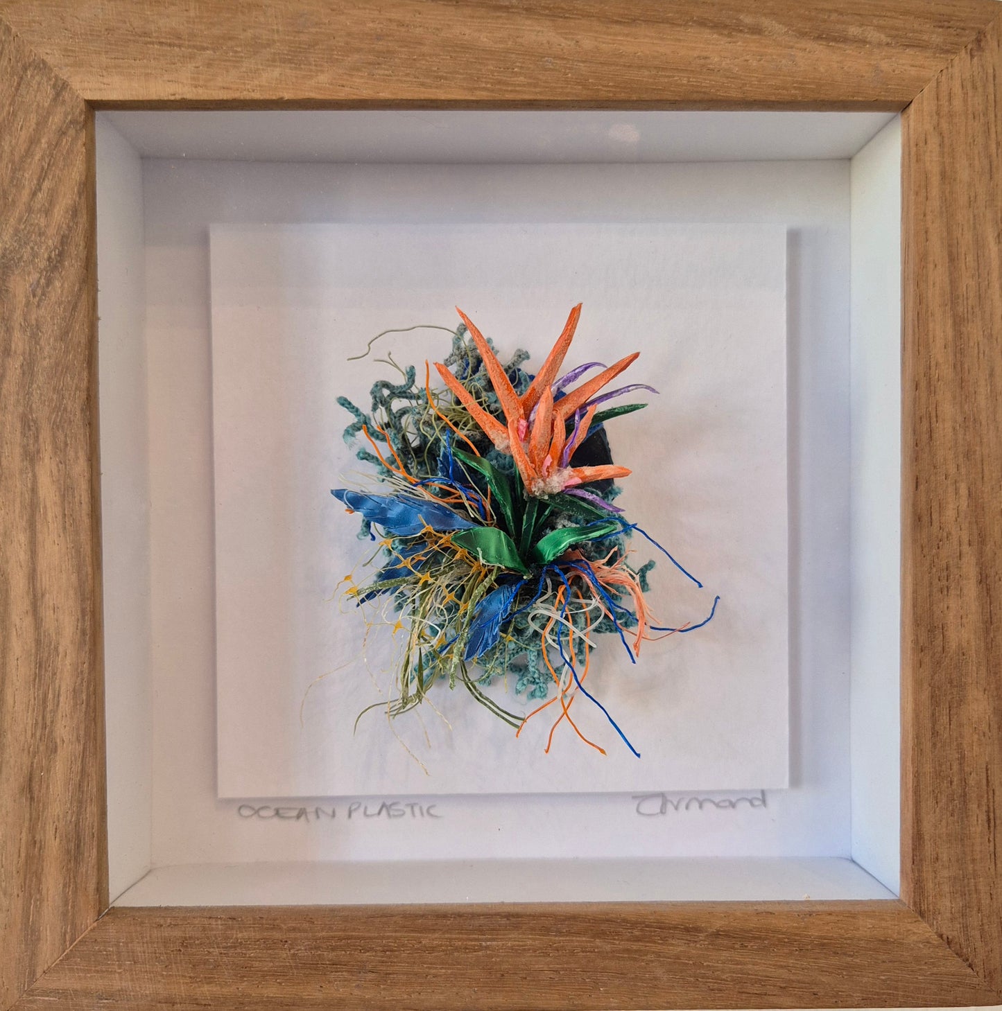 Small Curiosity - Strelitzia - Framed Wall Art