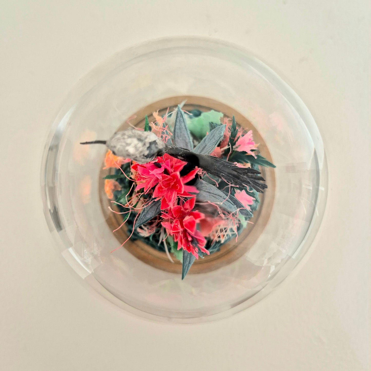 Little Cape Kaleidoscope