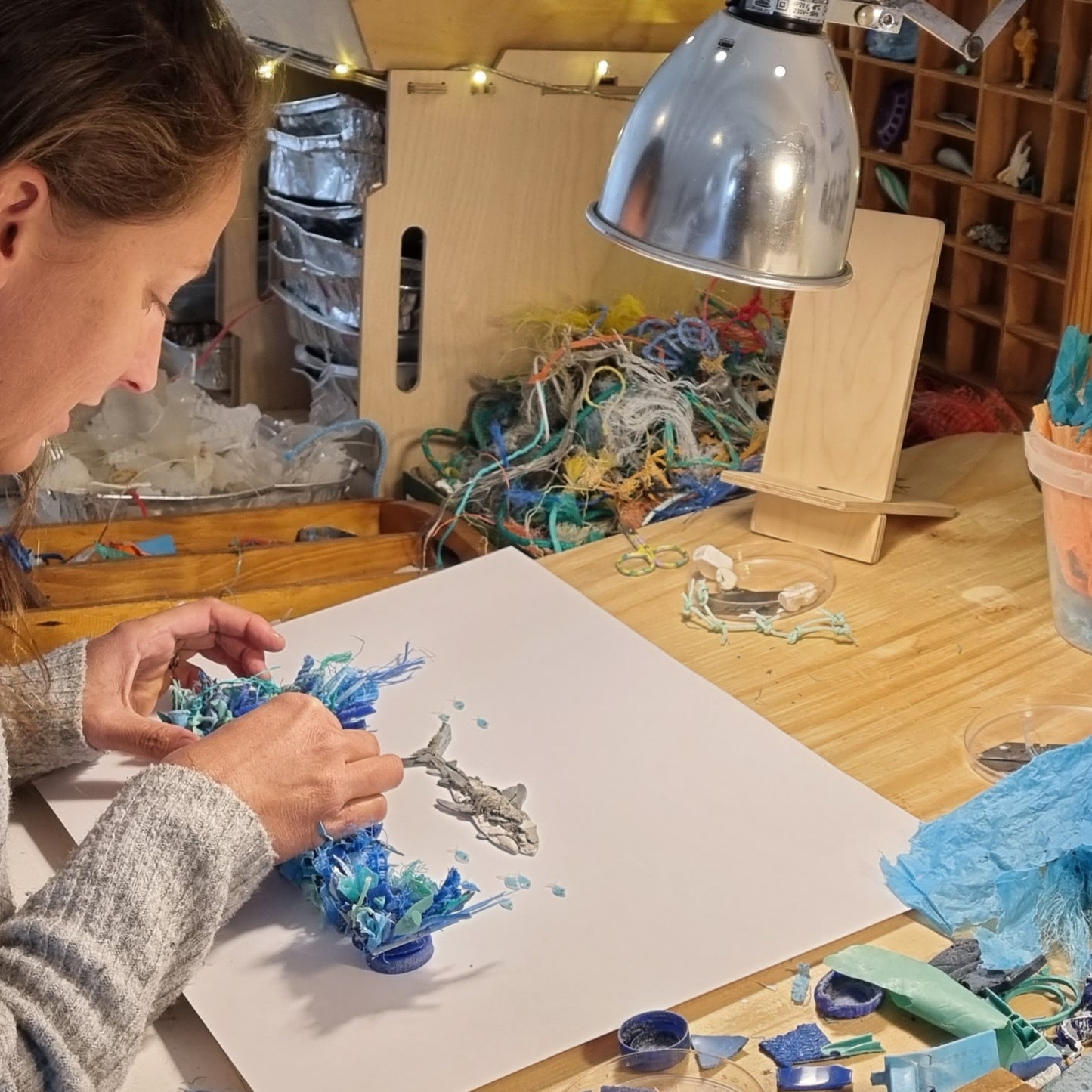 Shark swimming the drop off