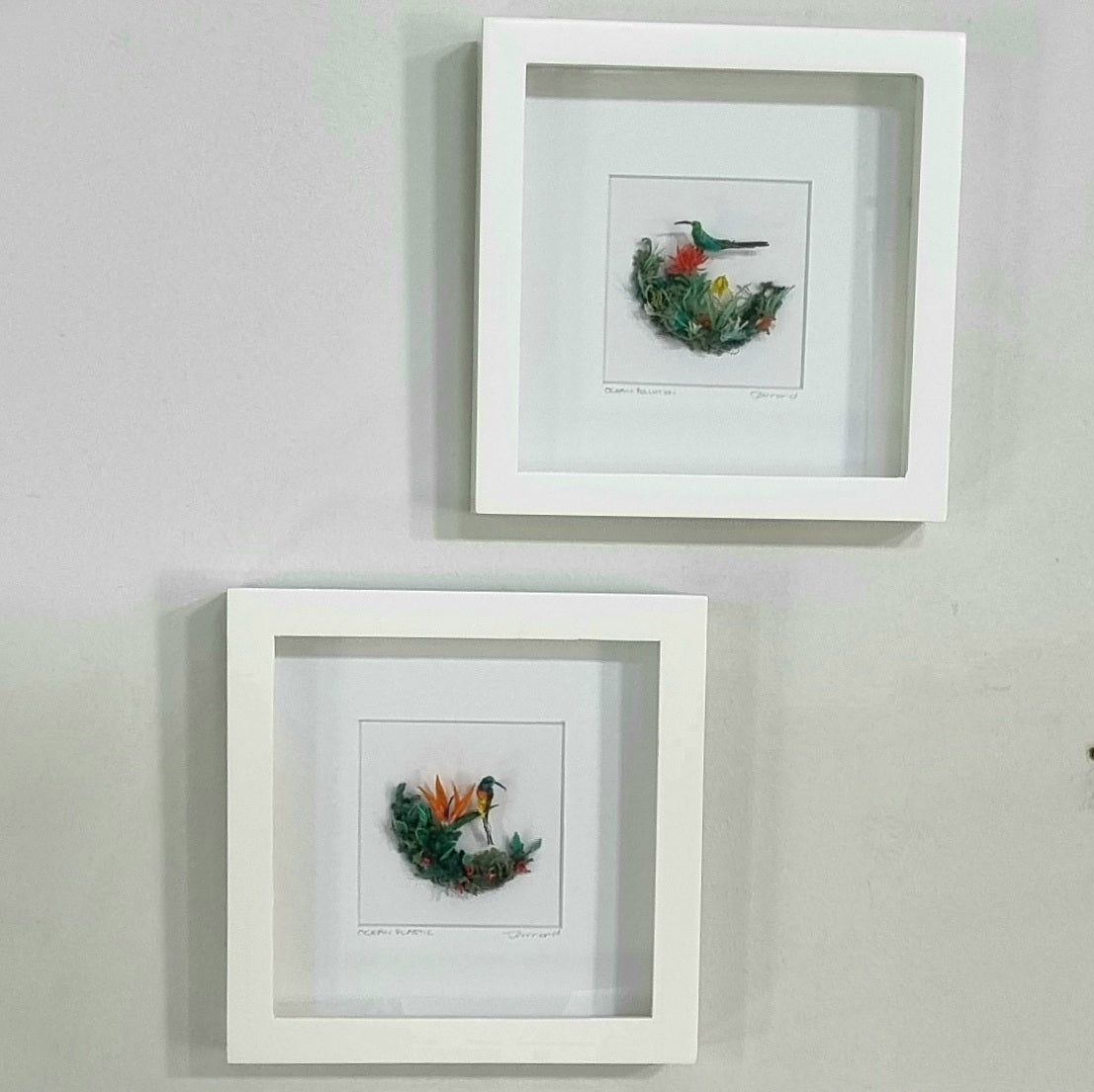 Orange-breasted sunbird