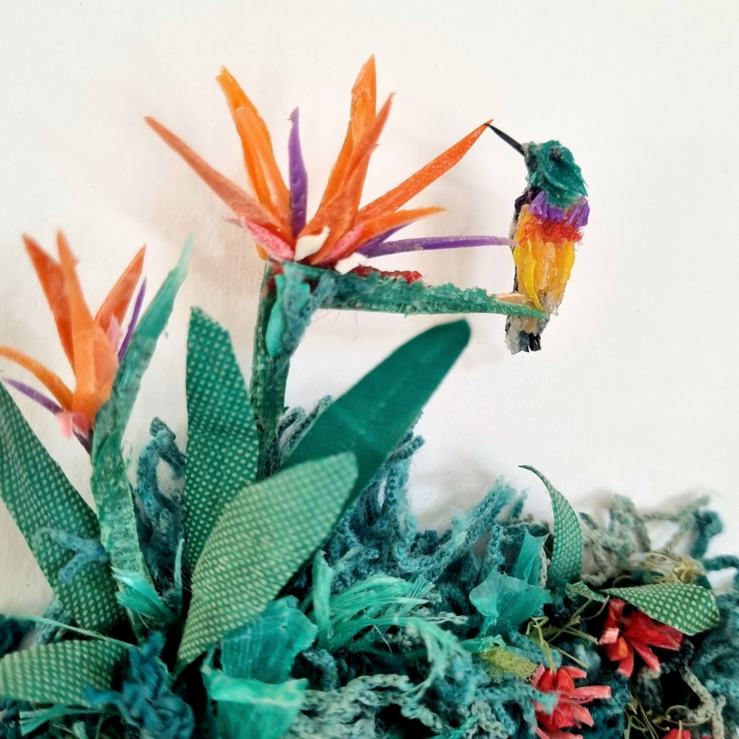 Sunbird between the Birds of Paradise