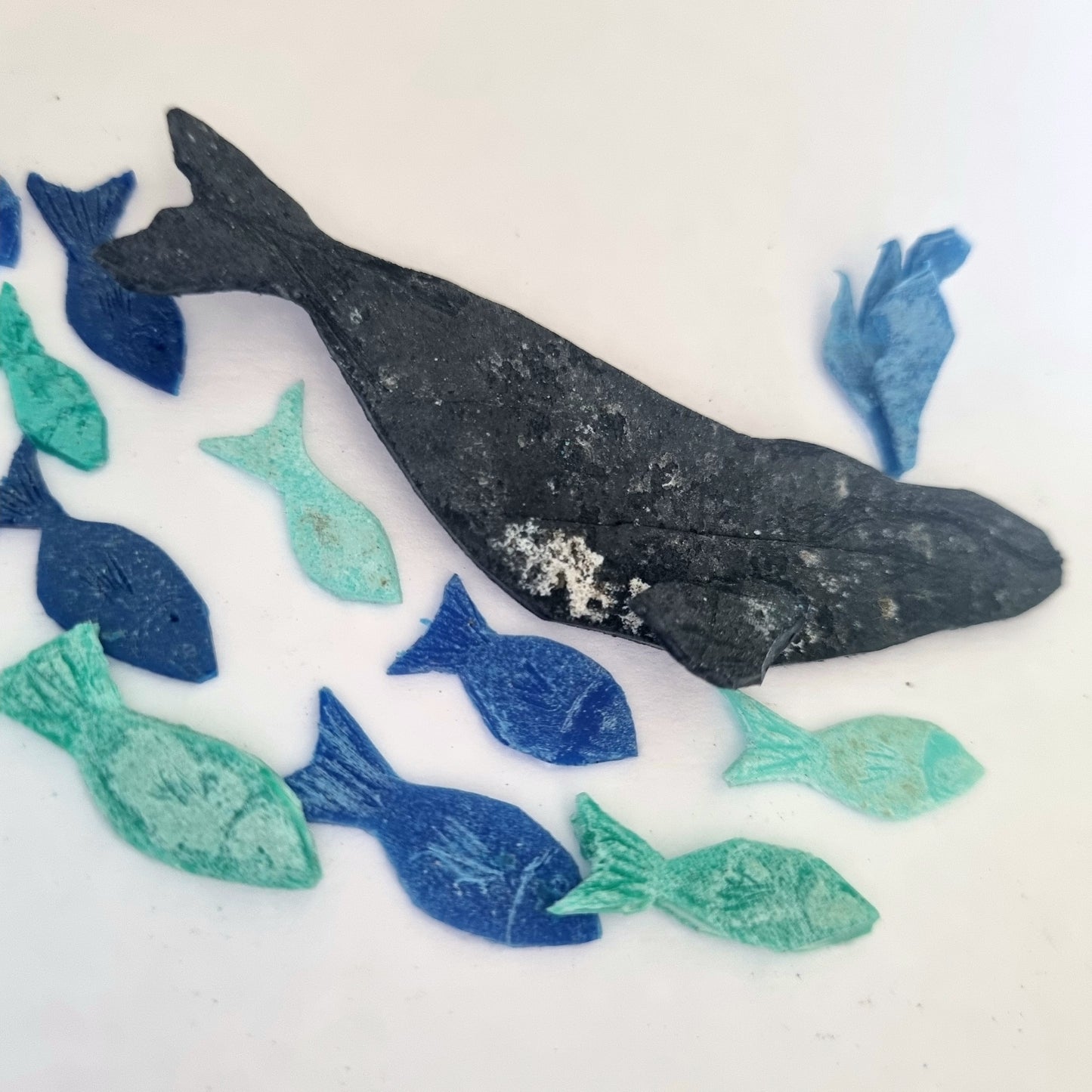 Southern Right Whale diving