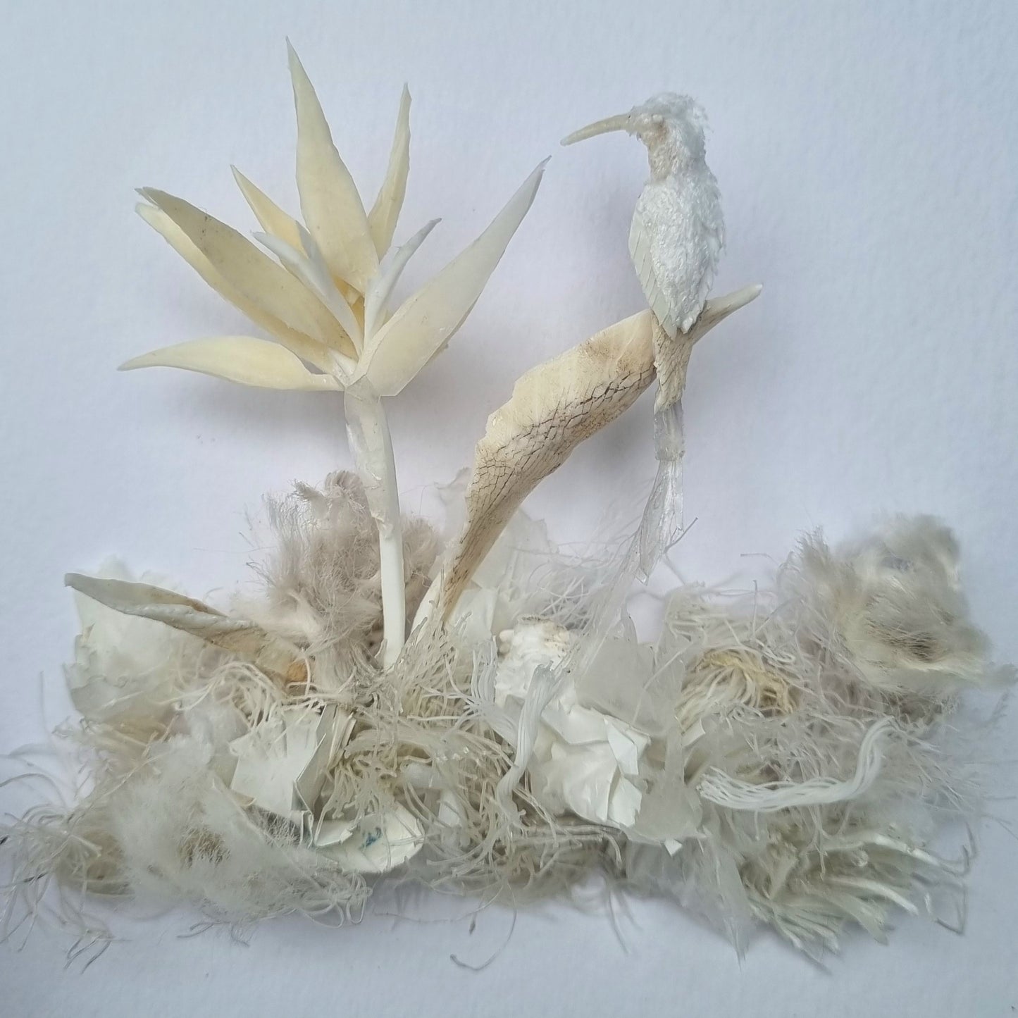 Paradise white