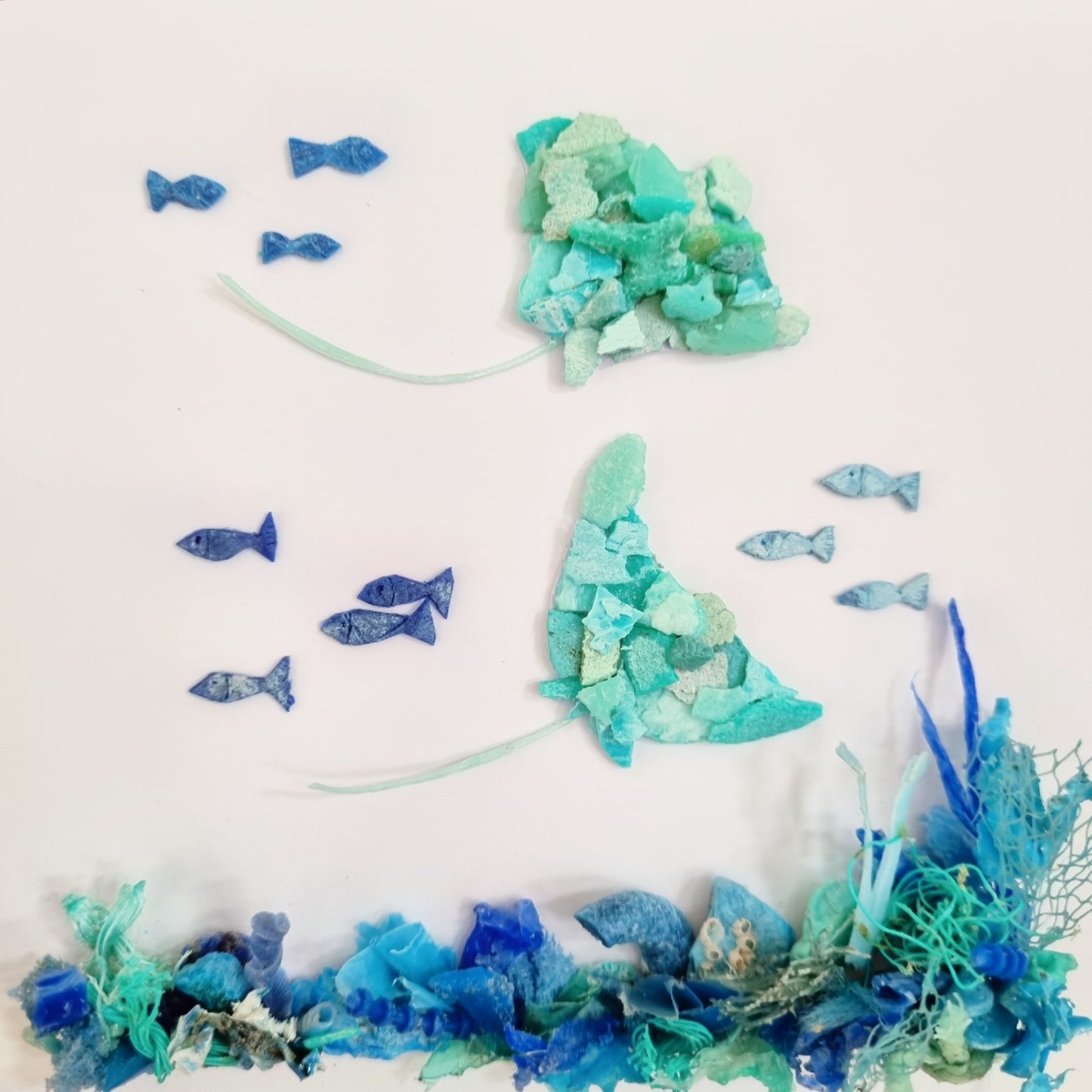 Under the sea with rays