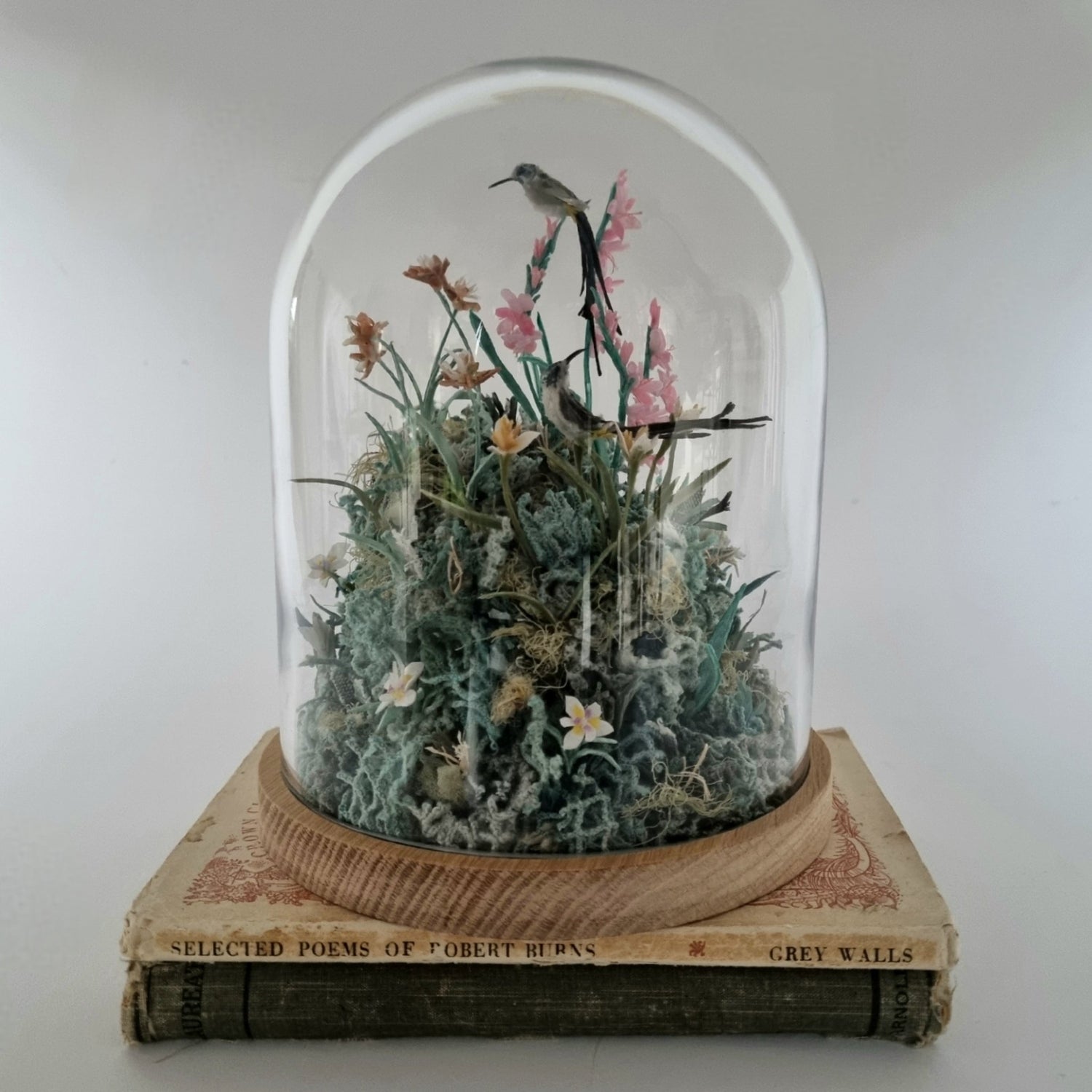 Domed Sculptures - Janet Ormond Art