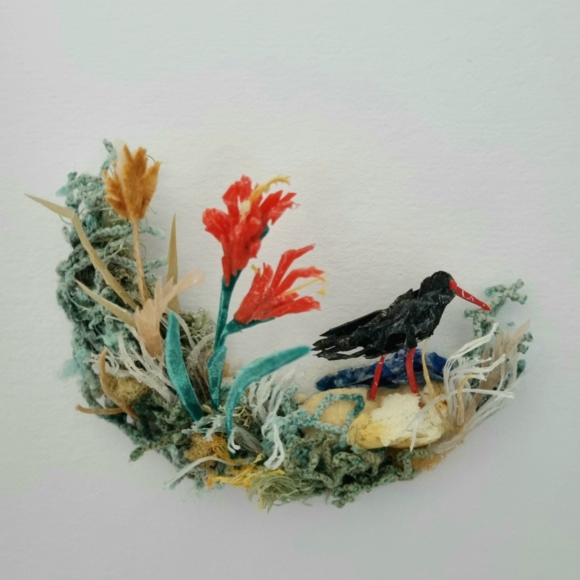 Black Oystercatcher between the west coast blooms - Janet Ormond Art