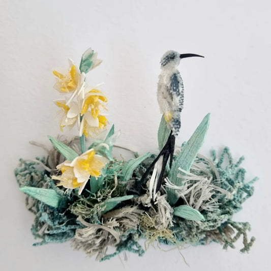 Cape sugarbird - Janet Ormond Art