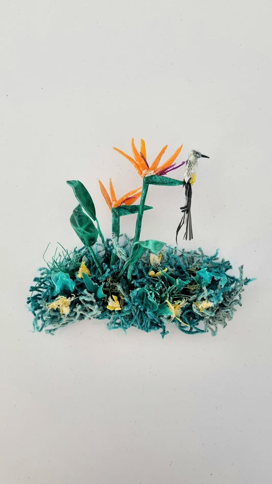 Cape Sugarbird & Strelitzia - Janet Ormond Art