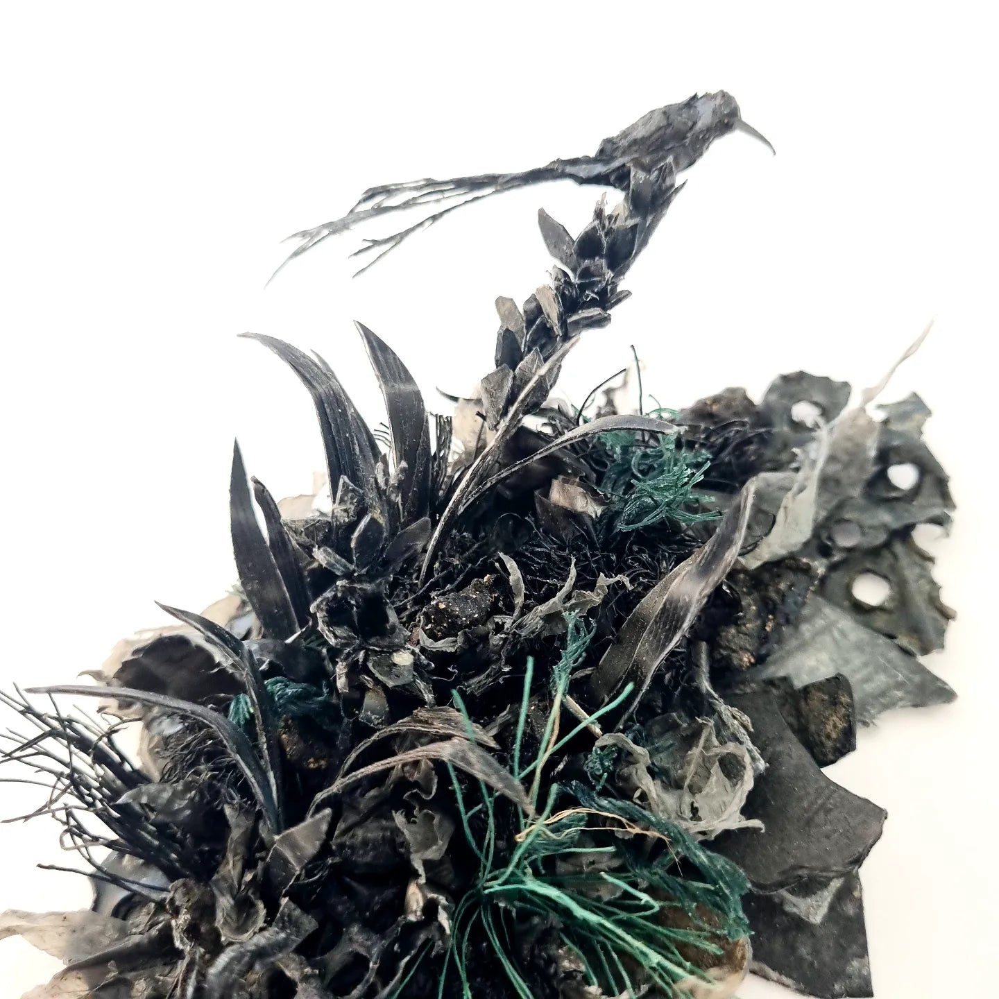 Charred: The Resilience of Beauty no.1 - Janet Ormond Art