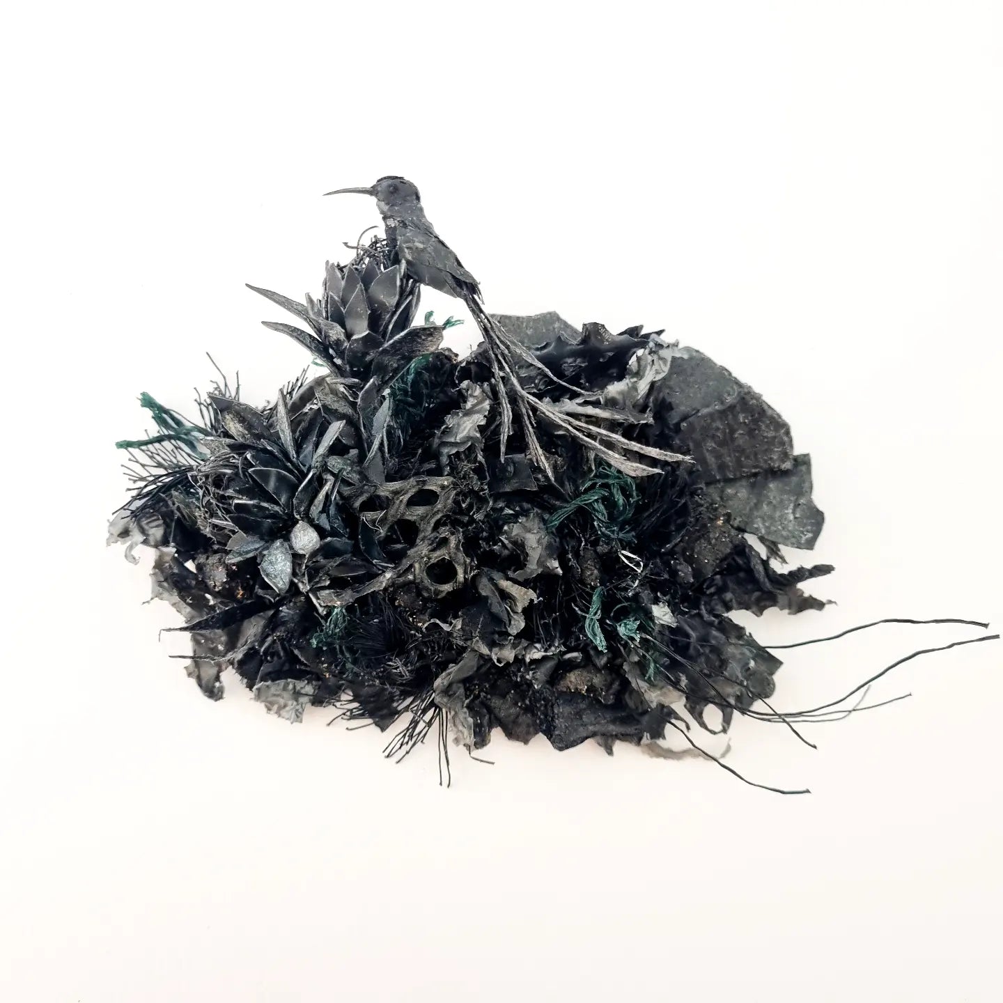 Charred: The Resilience of Beauty" no.2 - Janet Ormond Art