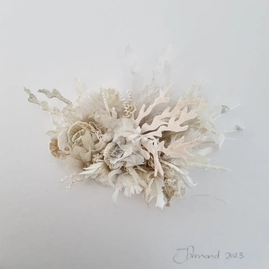 Coral Dreams #2 - Janet Ormond Art