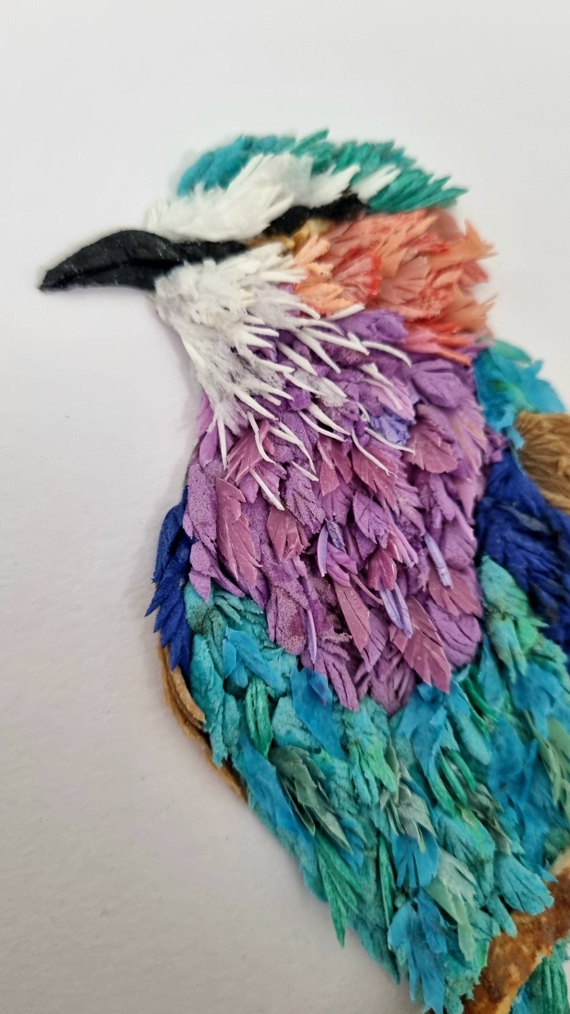 Lilac Breasted Roller - Janet Ormond Art