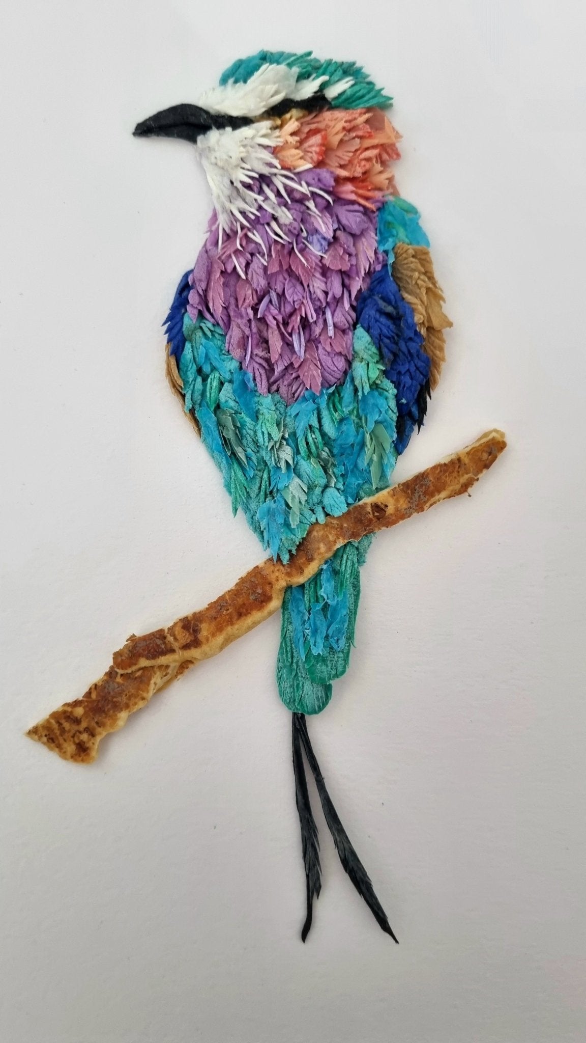 Lilac Breasted Roller - Janet Ormond Art