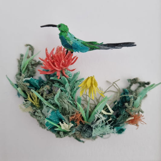 Malachite Sunbird perched on a pincushion - Janet Ormond Art