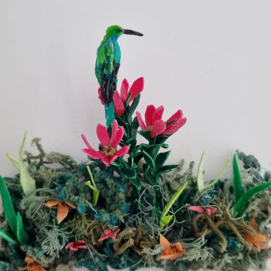 Malachite Sunbird sitting on a Conebush - Janet Ormond Art