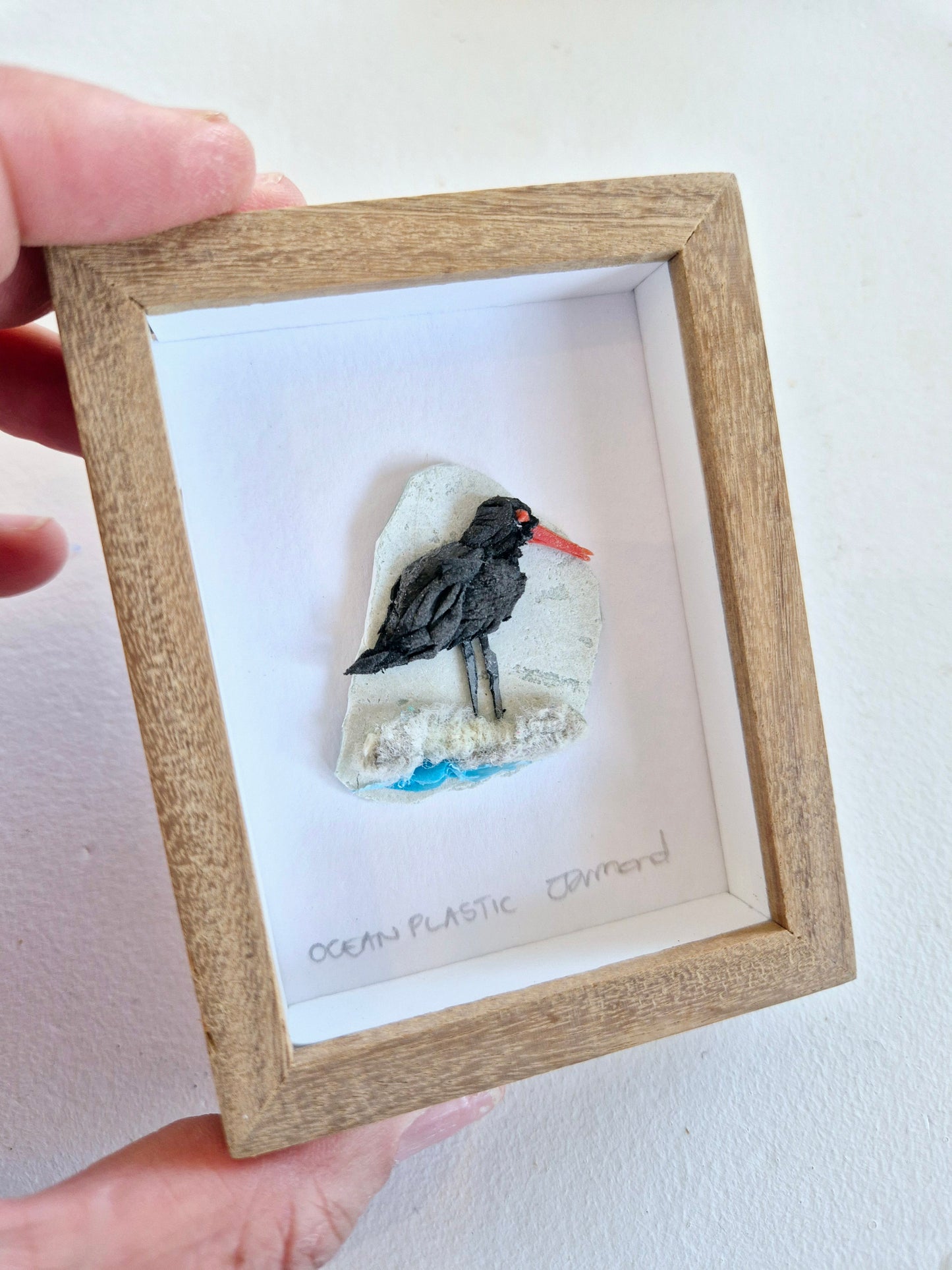 Ocean Fragment No.025 - Oystercatcher Framed wall art