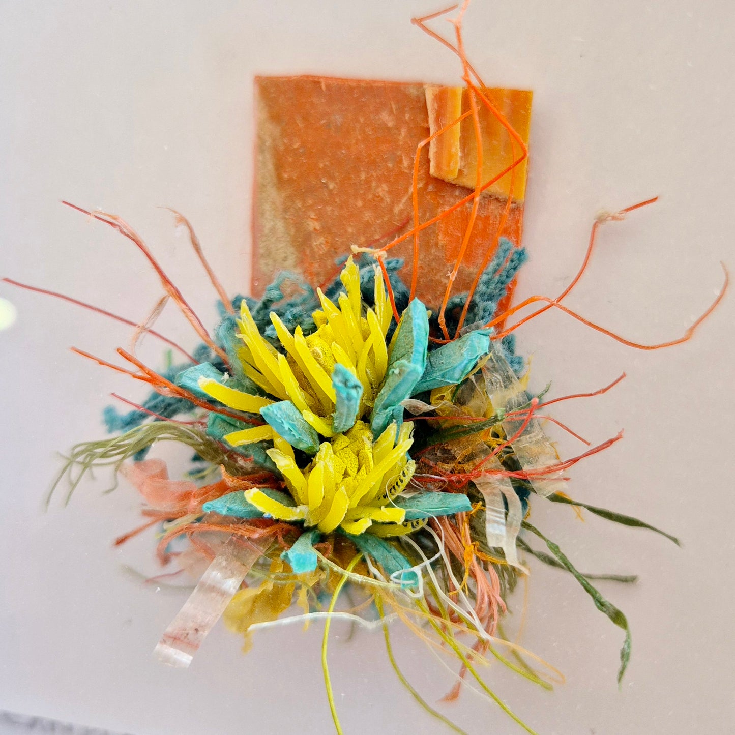 Small curiosity- yellow pincushions - framed wall art