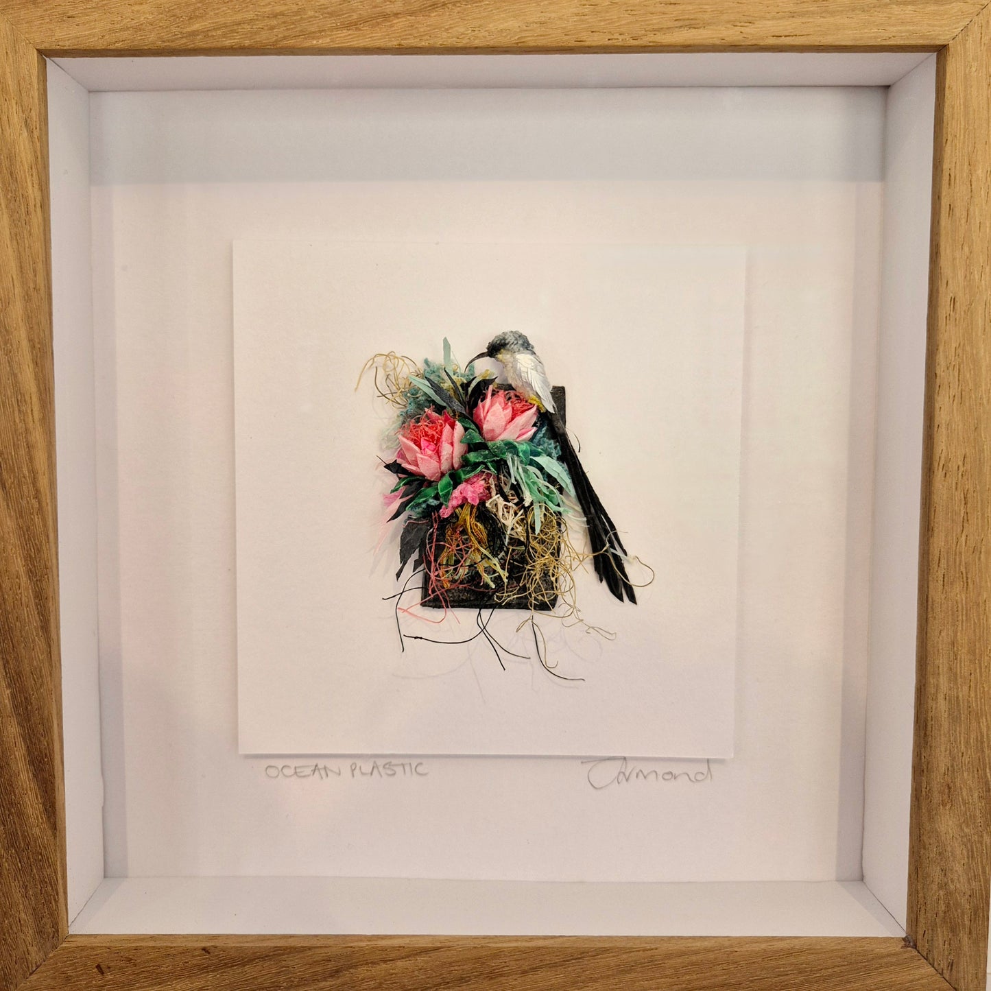 Cape Sugarbird - Framed Wall art