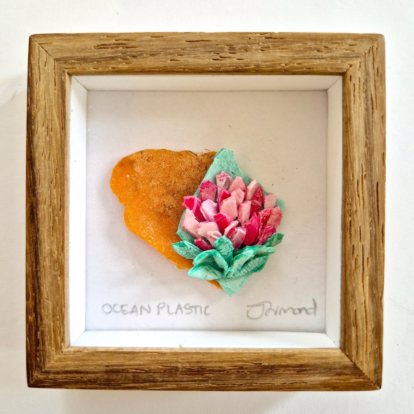 Ocean Fragment No.012 - Protea