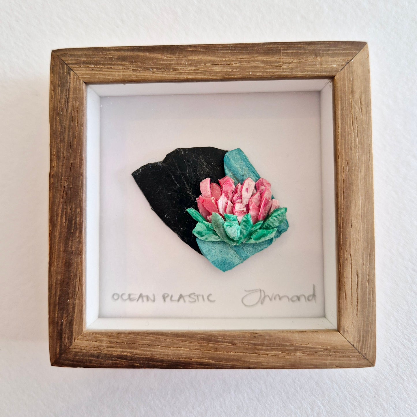 Ocean Fragment No.013 - Protea - Framed Wall Art