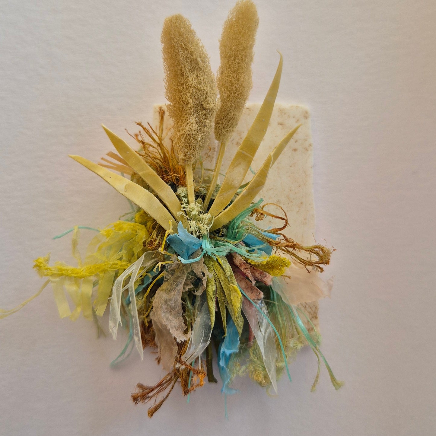 Small Curiosity - Reeds - framed Wall Art