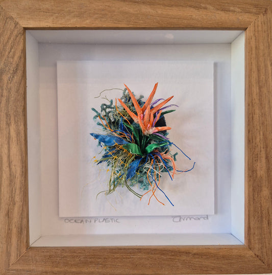 Small Curiosity - Strelitzia - Framed Wall Art