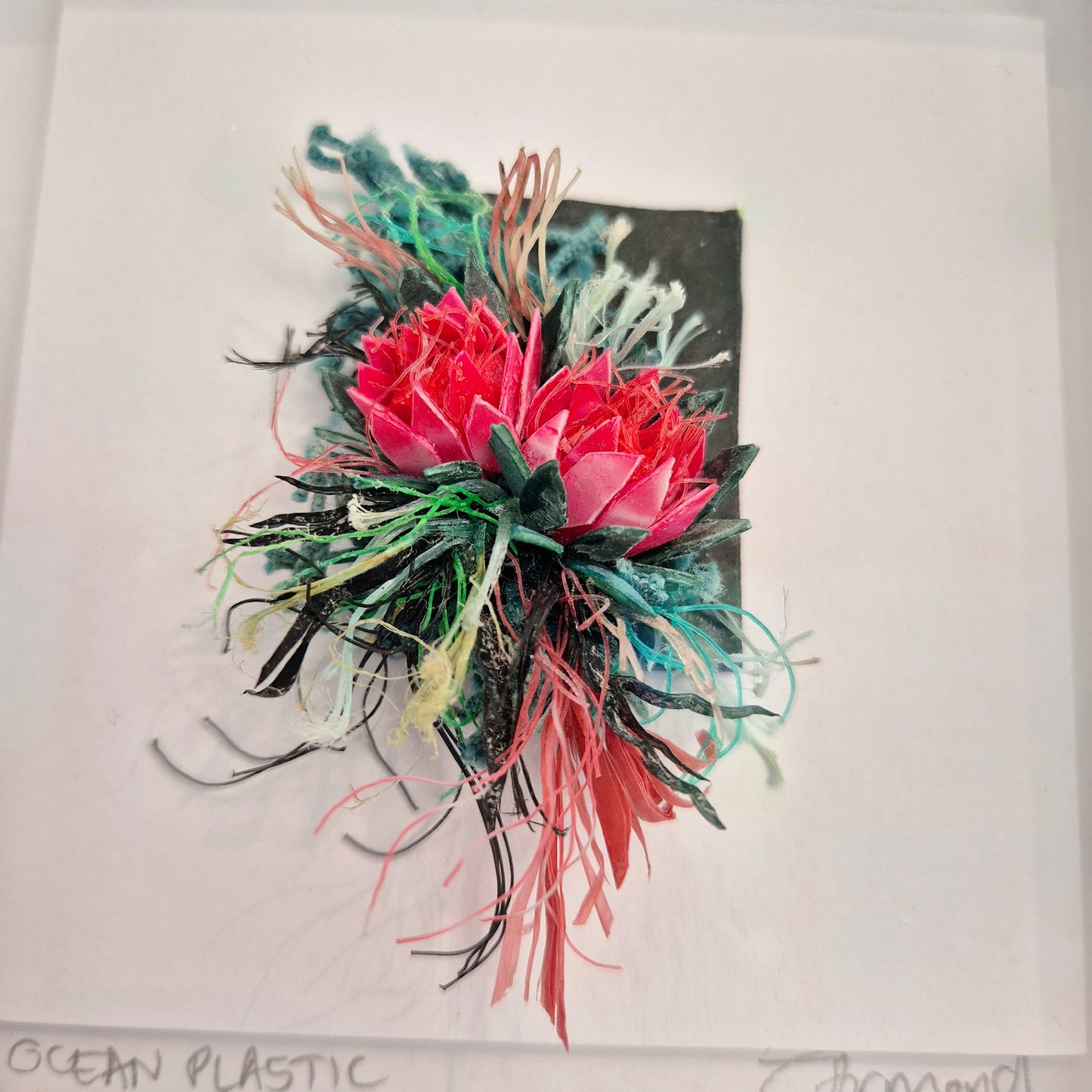 Small curiosity- pink protea - framed wall art