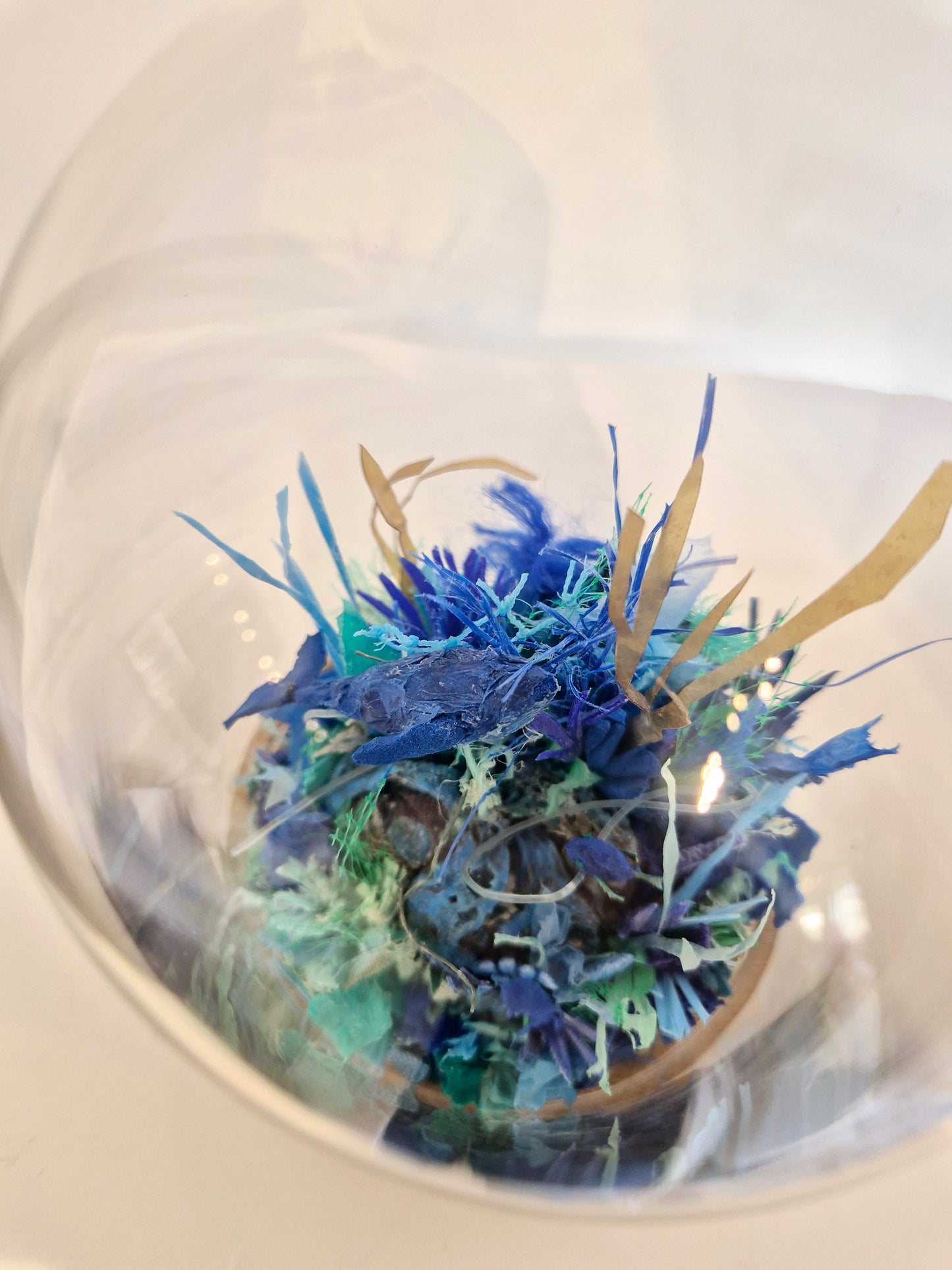 Blue Seas