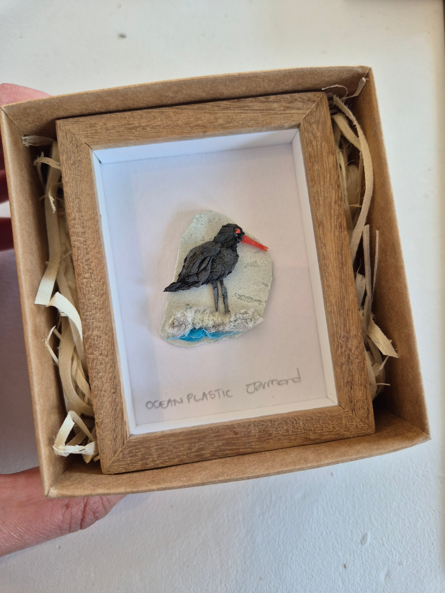 Ocean Fragment No.025 - Oystercatcher Framed wall art