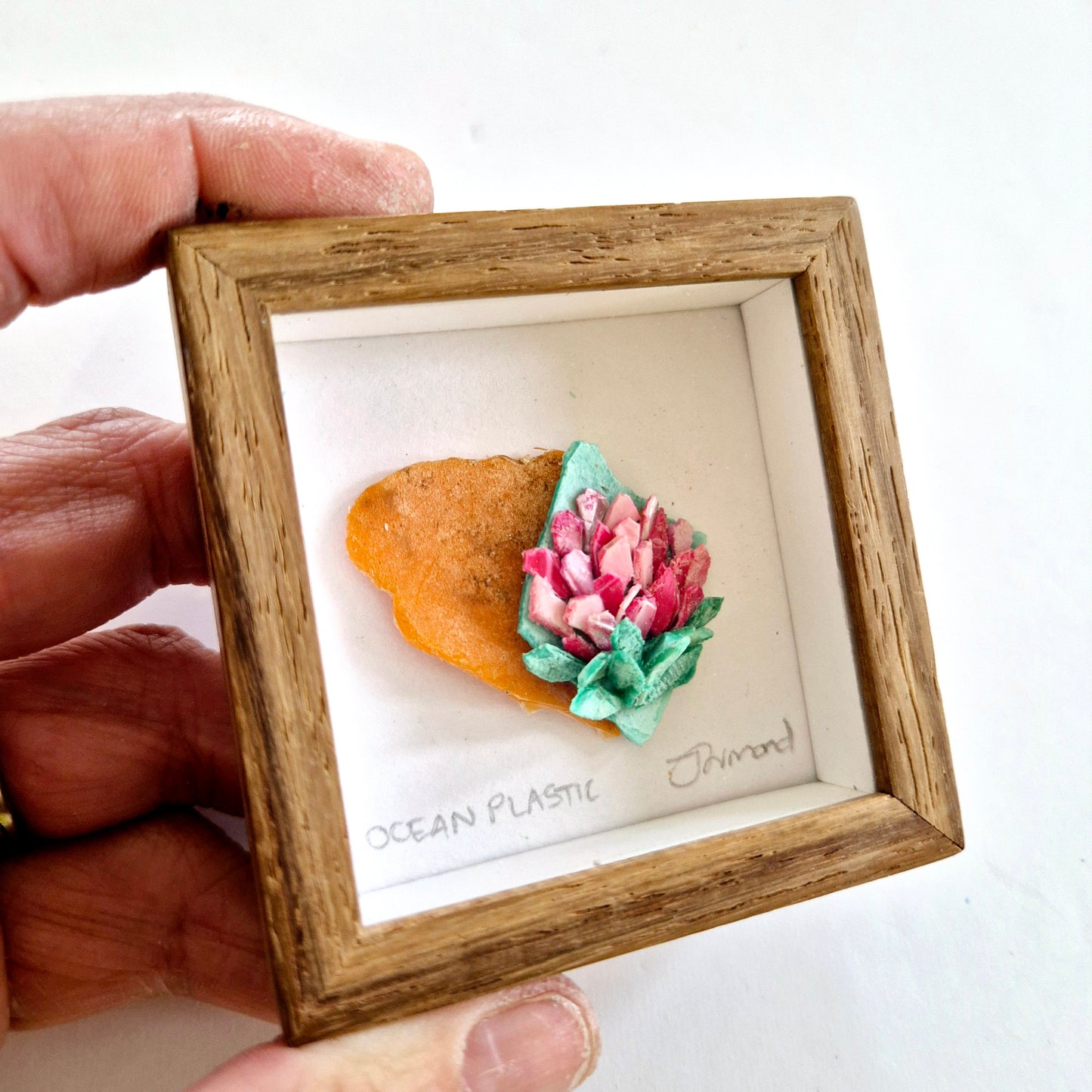 Ocean Fragment No.012 - Protea
