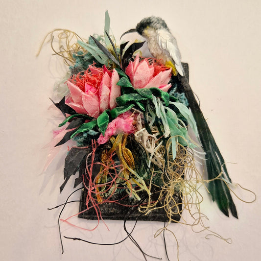 Cape Sugarbird - Framed Wall art