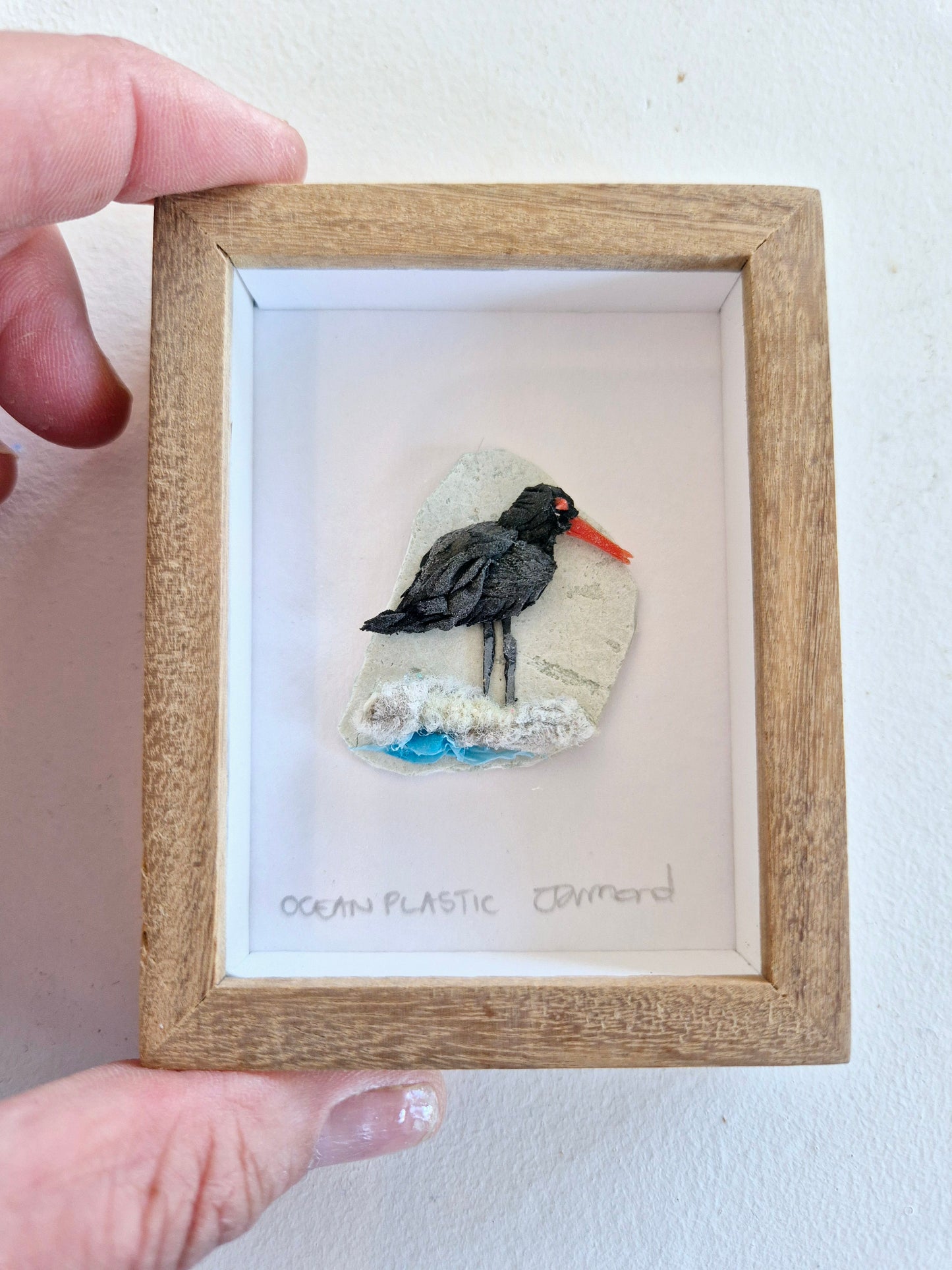Ocean Fragment No.025 - Oystercatcher Framed wall art
