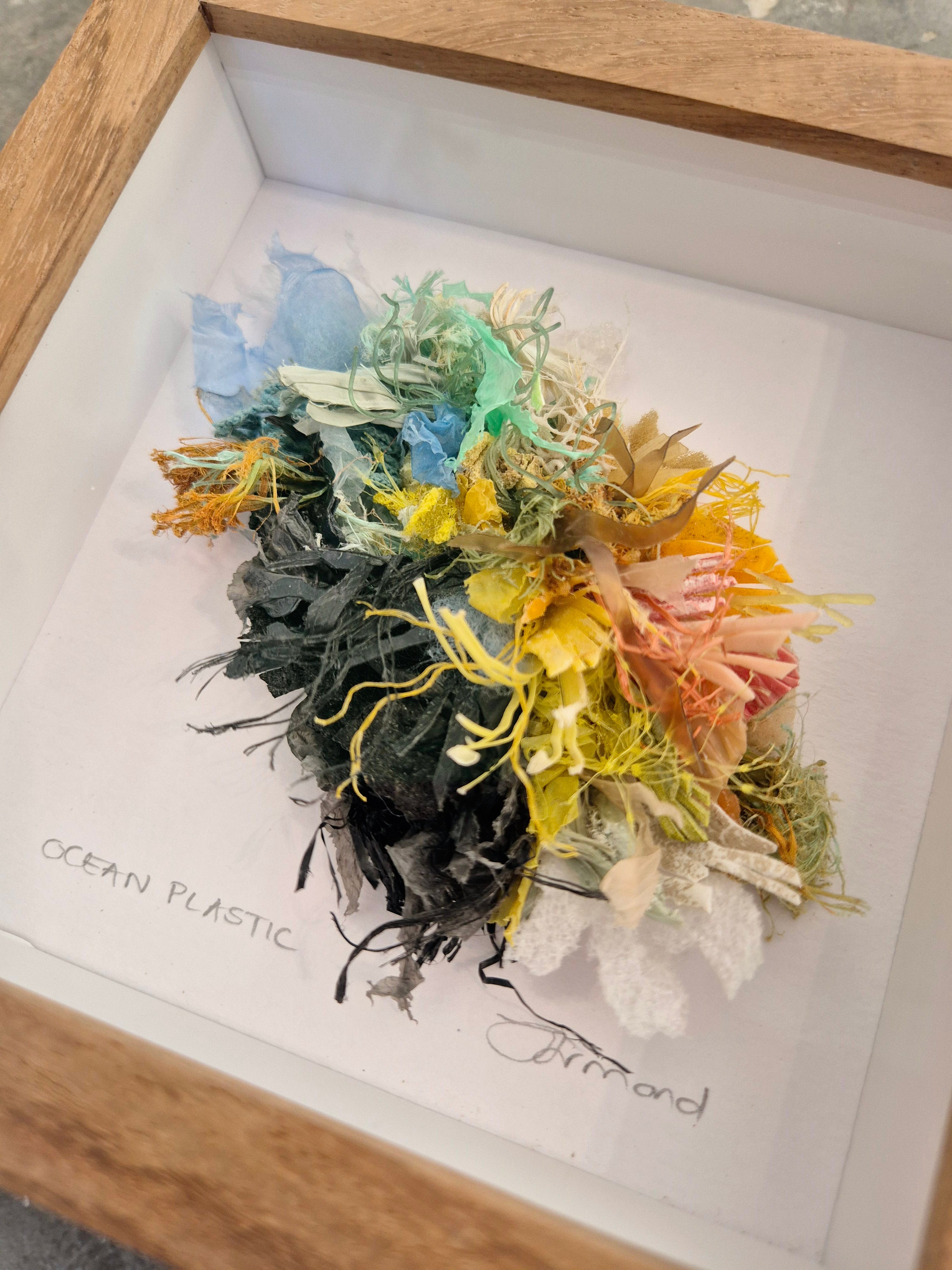 Small Curiosity – Framed Wall Art | Janet Ormond Art