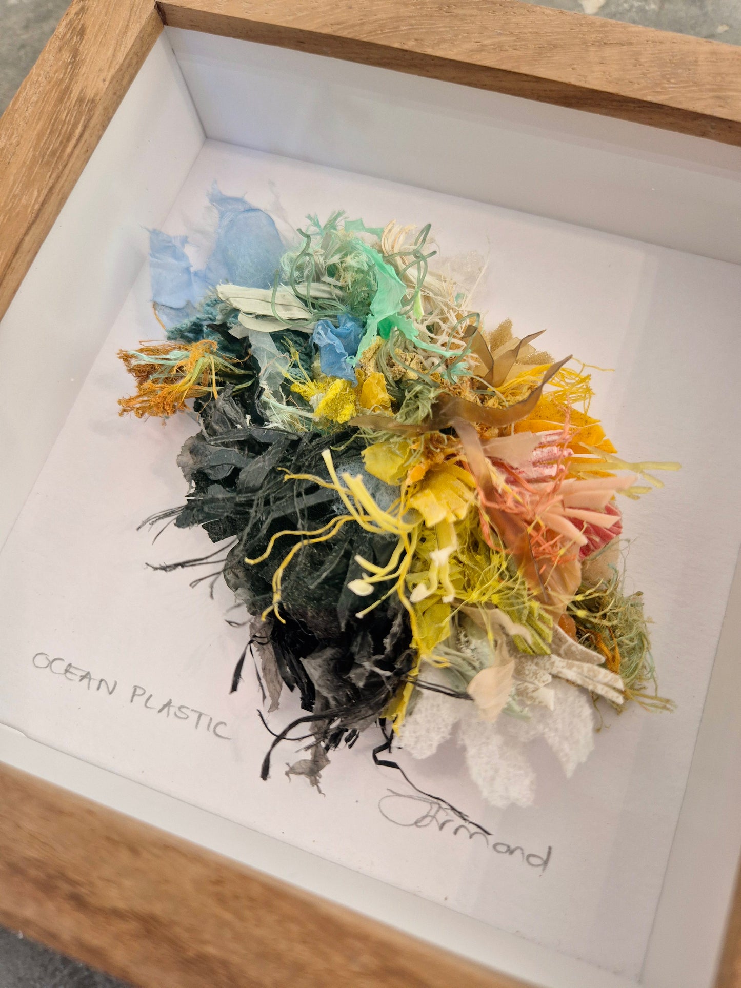 Small curiosity - Underwater Garden - Framed Wall Art